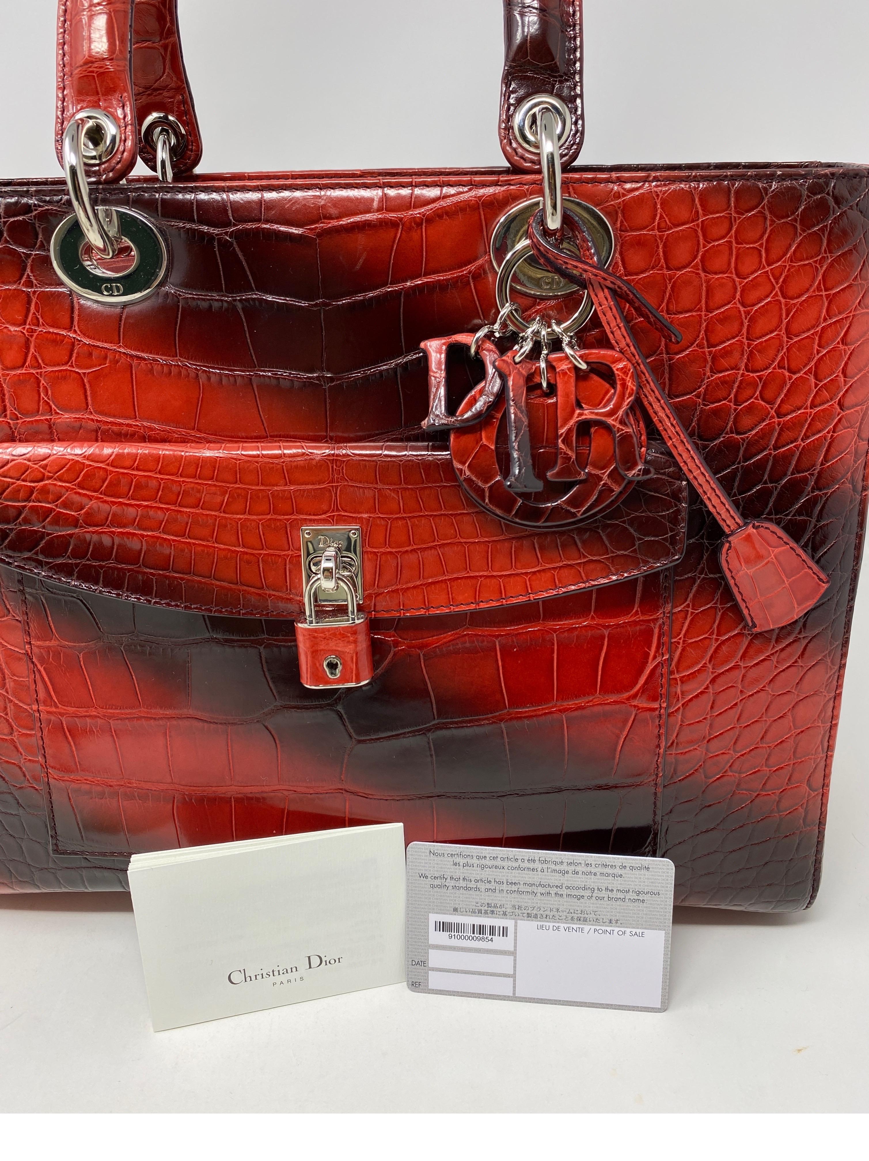 Borsa in coccodrillo Christian Dior 8