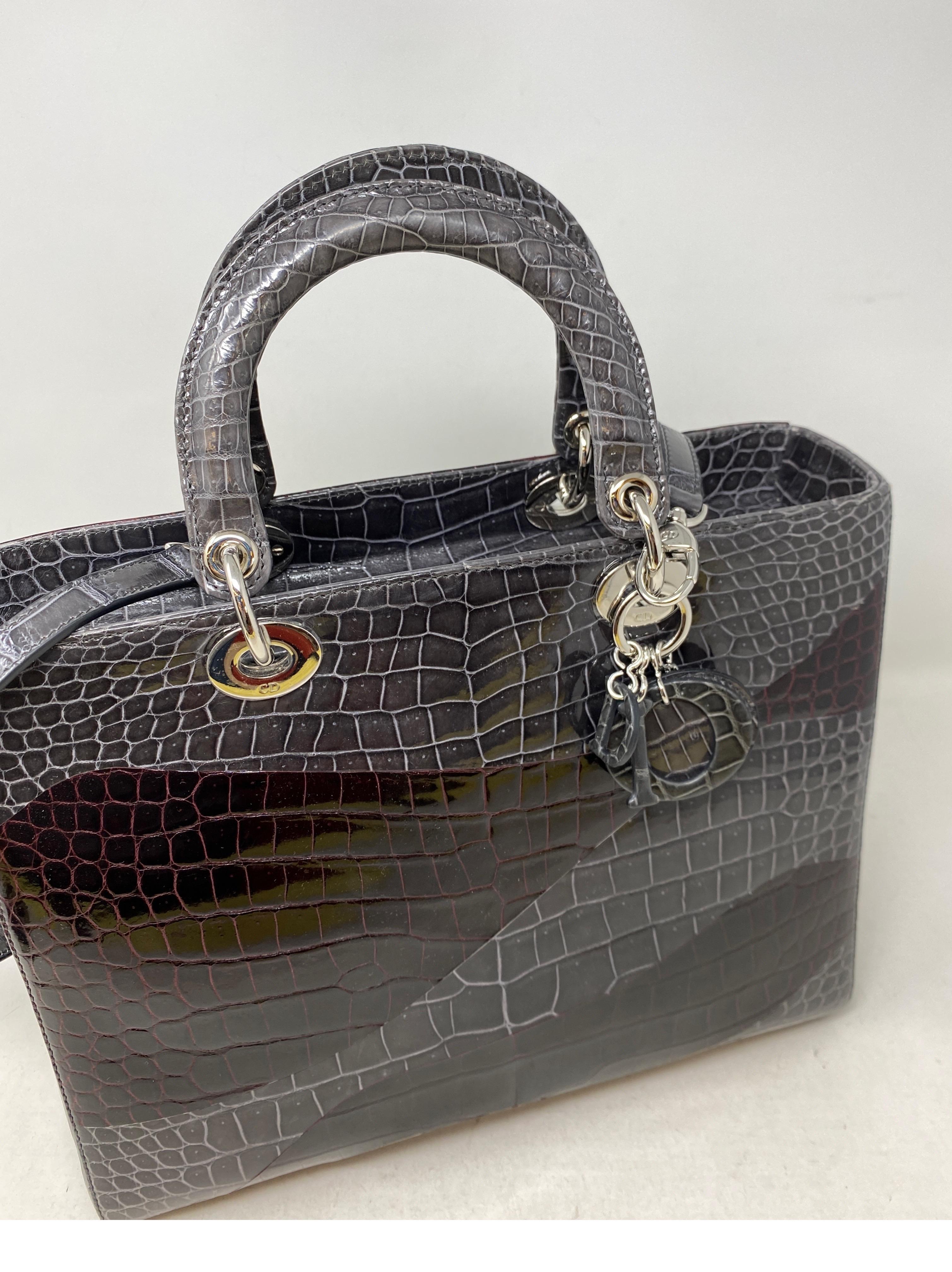Christian Dior Crocodile Lady Bag 7