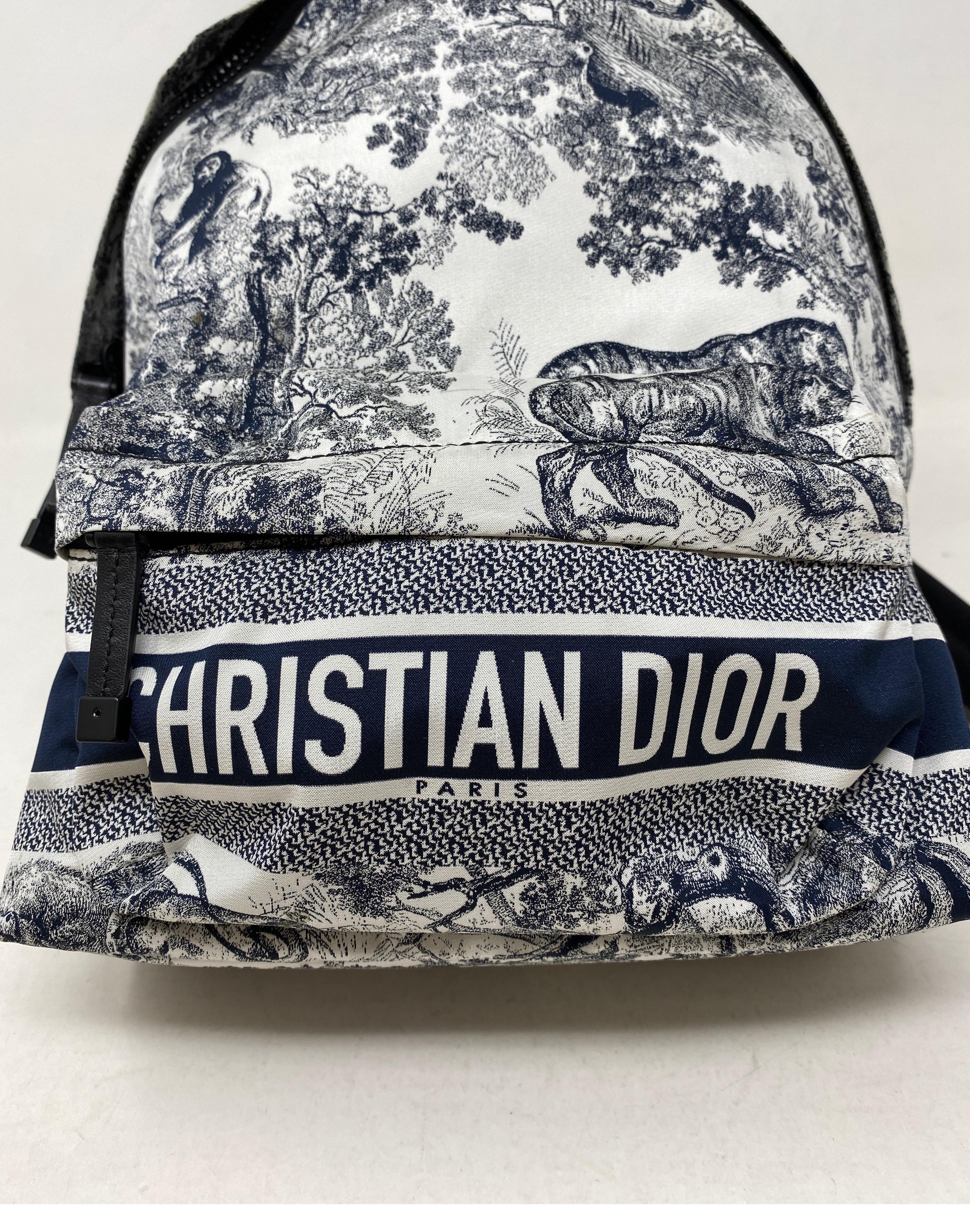 Christian Dior Cruise Backpack  7