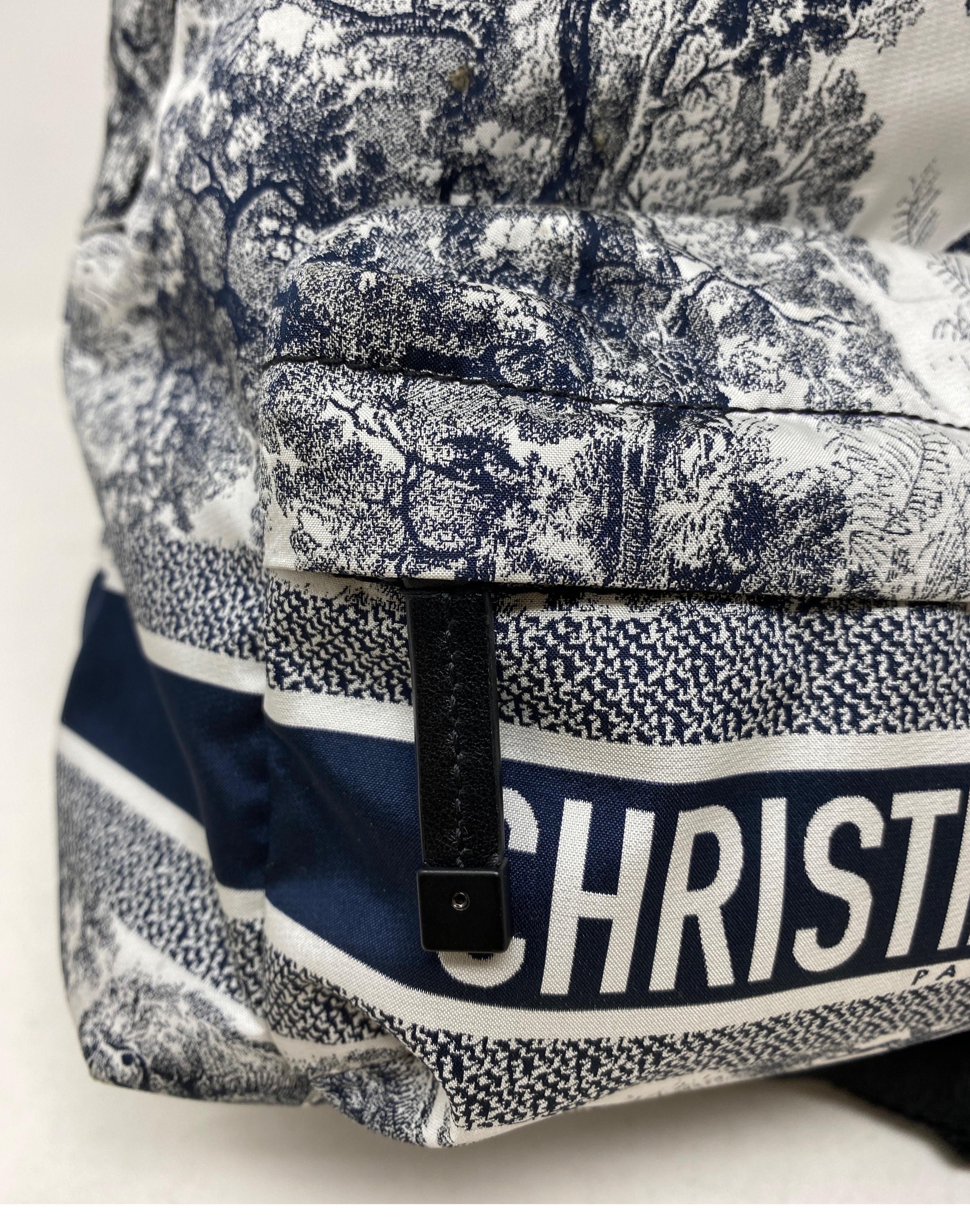 Women's or Men's Christian Dior Cruise Backpack 