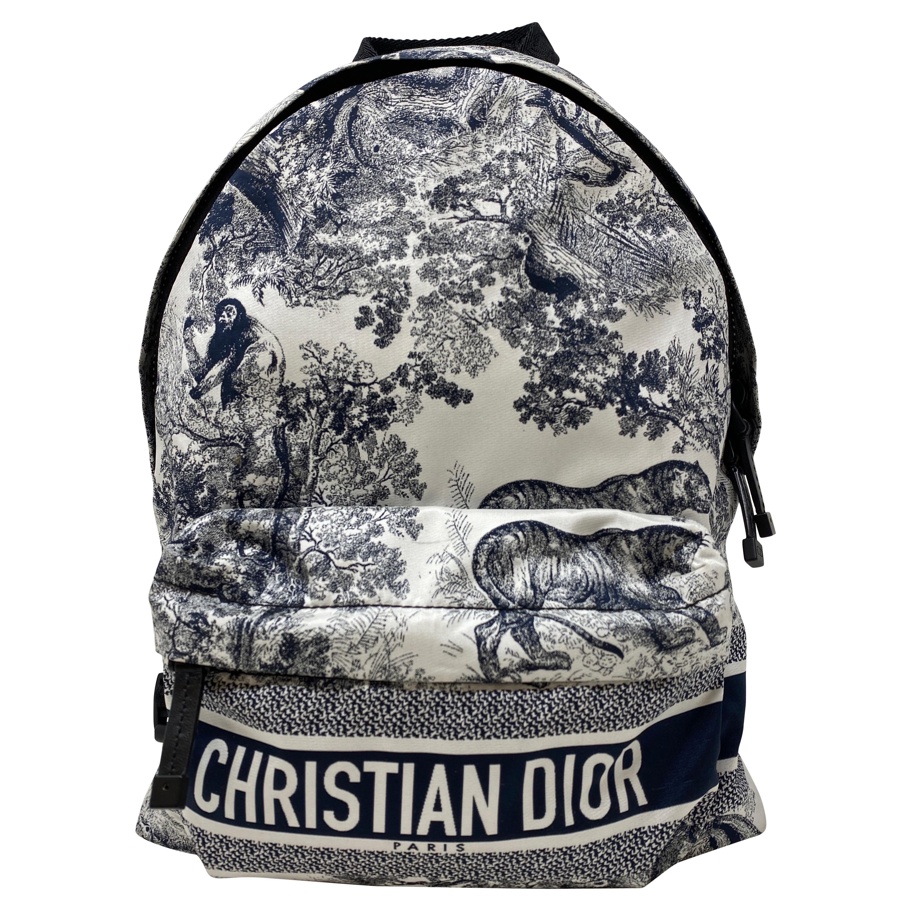 Christian Dior Cruise Backpack