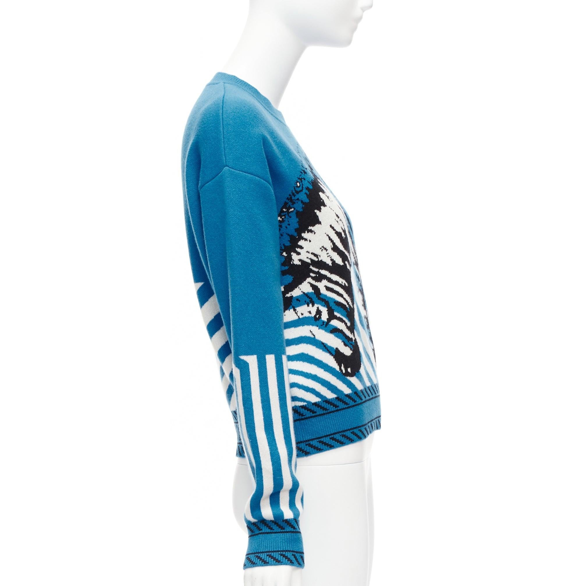 CHRISTIAN DIOR D-Jungle Pop Zebra graphic blue pink cashmere sweater FR34 S In Excellent Condition For Sale In Hong Kong, NT