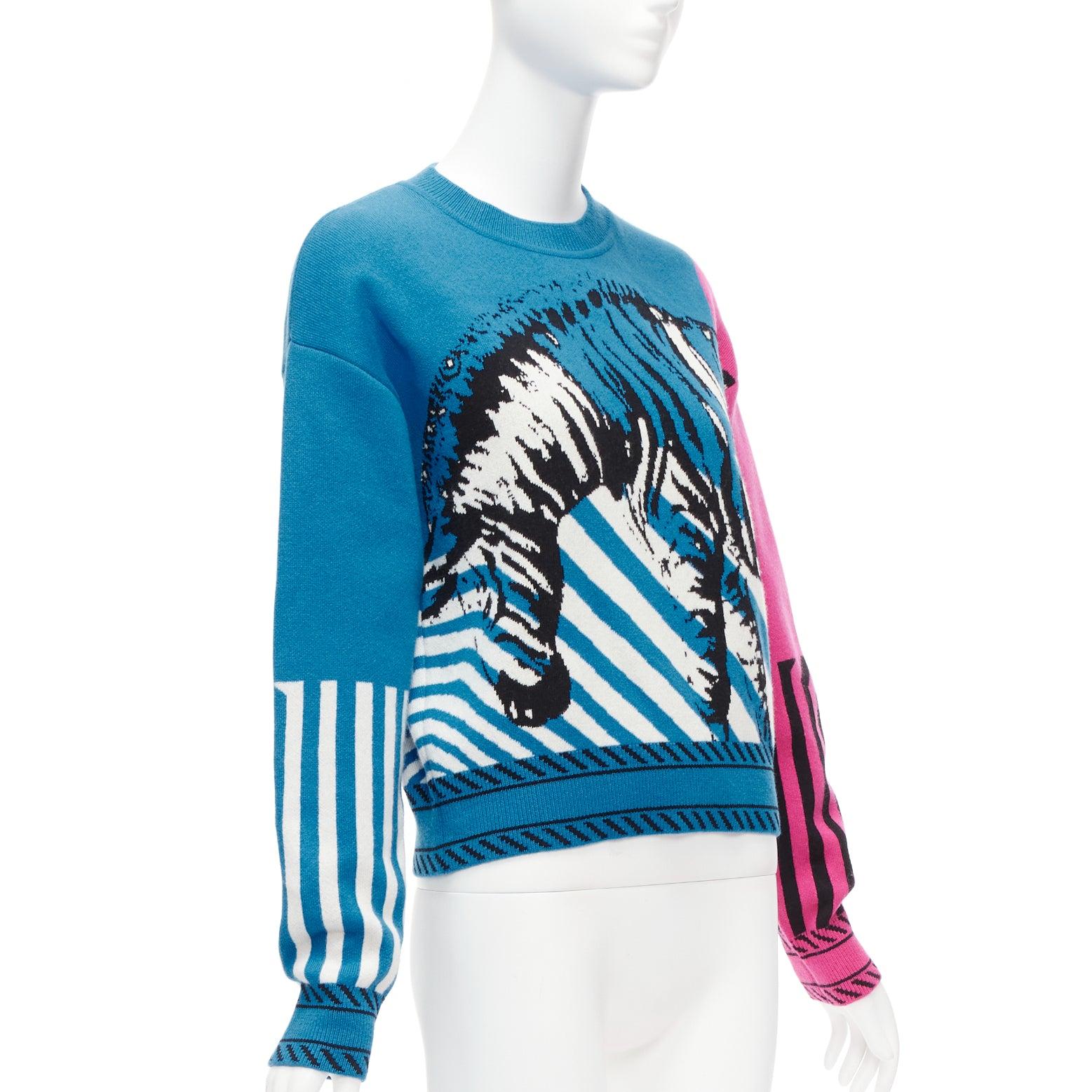 Blue CHRISTIAN DIOR D-Jungle Pop Zebra graphic blue pink cashmere sweater FR34 S For Sale