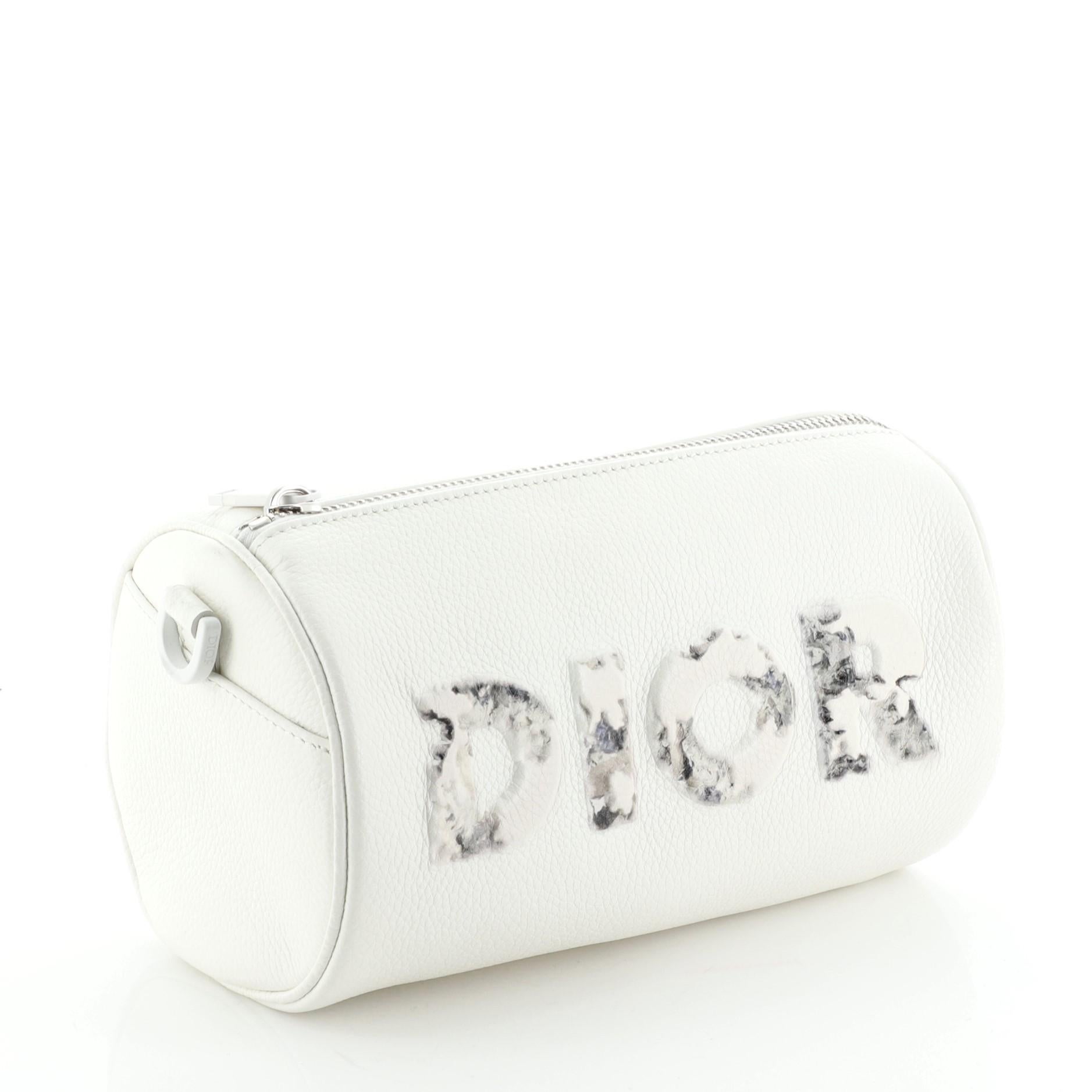 dior daniel arsham bag