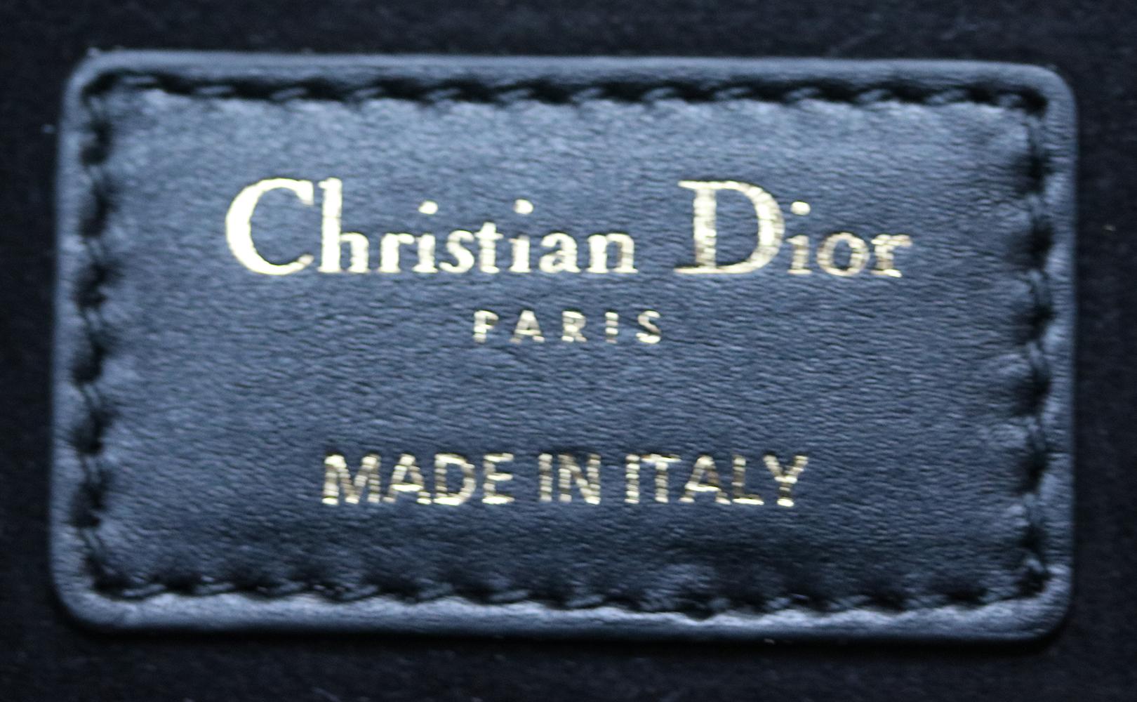 Christian Dior DiorAddict Embroidered Leather Bag  2
