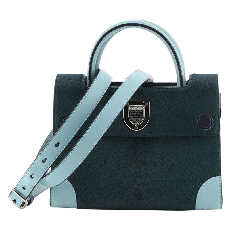 Christian Dior Diorever Handtasche Kalbshaar mit Leder Mini