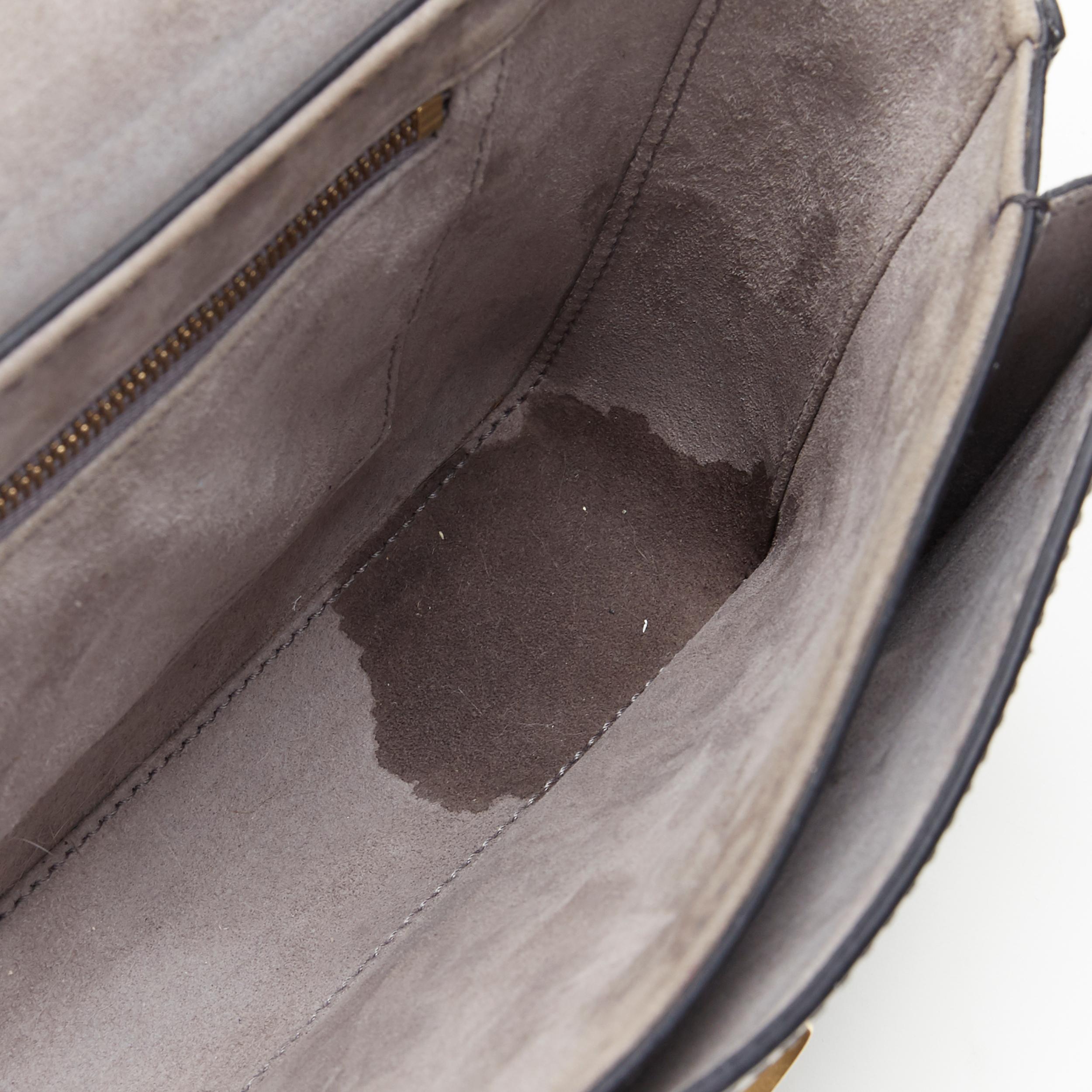 CHRISTIAN DIOR Dio(r)evolution borsa crossbody con patta in pelle argentata e cinturino con logo in oro 6