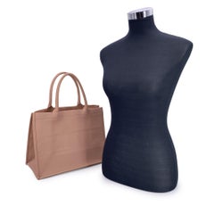 Christian Dior Dusty Pink Leather Medium Book Tote Bag