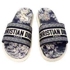 Christian Dior Dway Canvas Toile de Jouy Blue Embroidered Slides