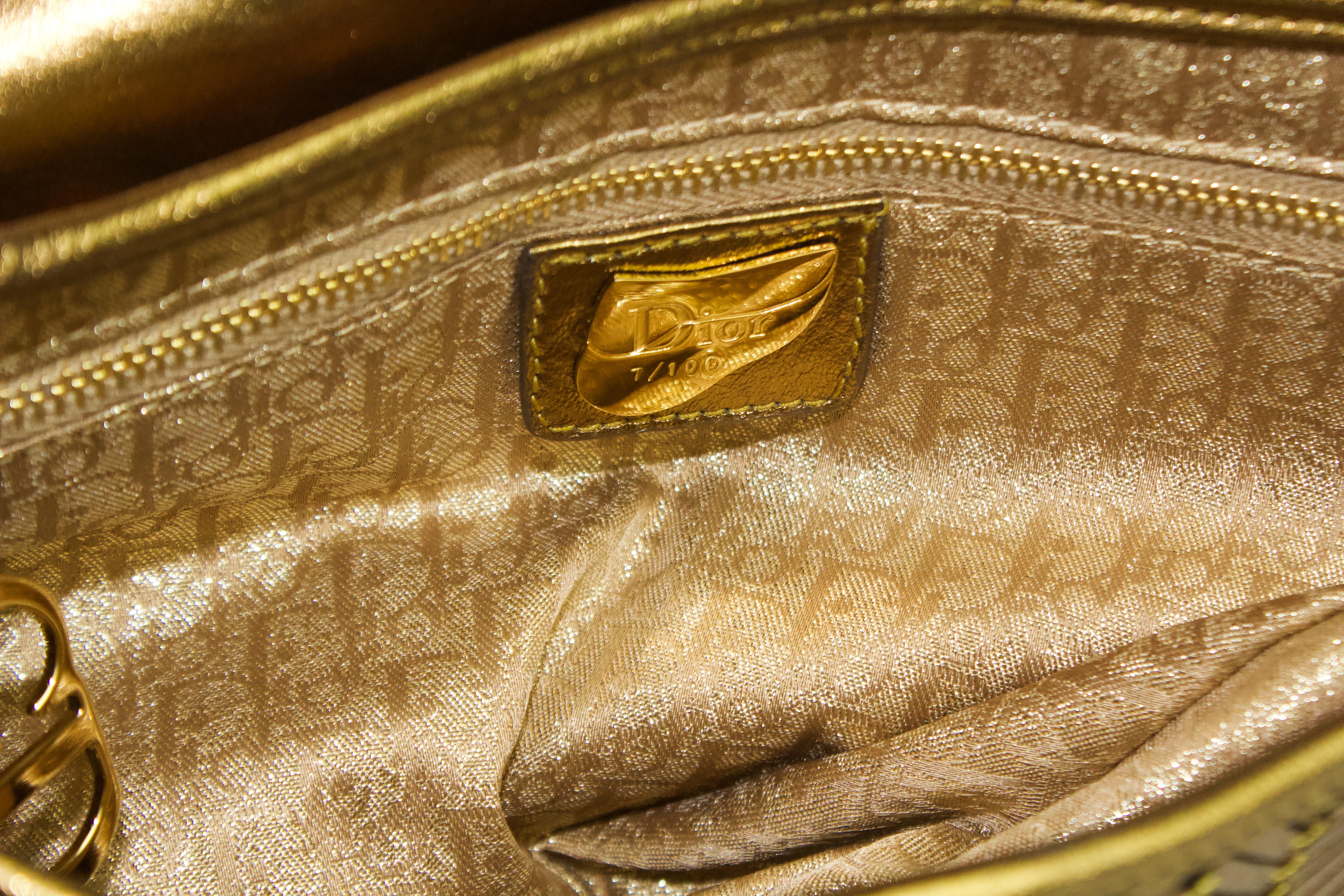 Christian Dior Egypt Country Saddle Bag For Sale 10