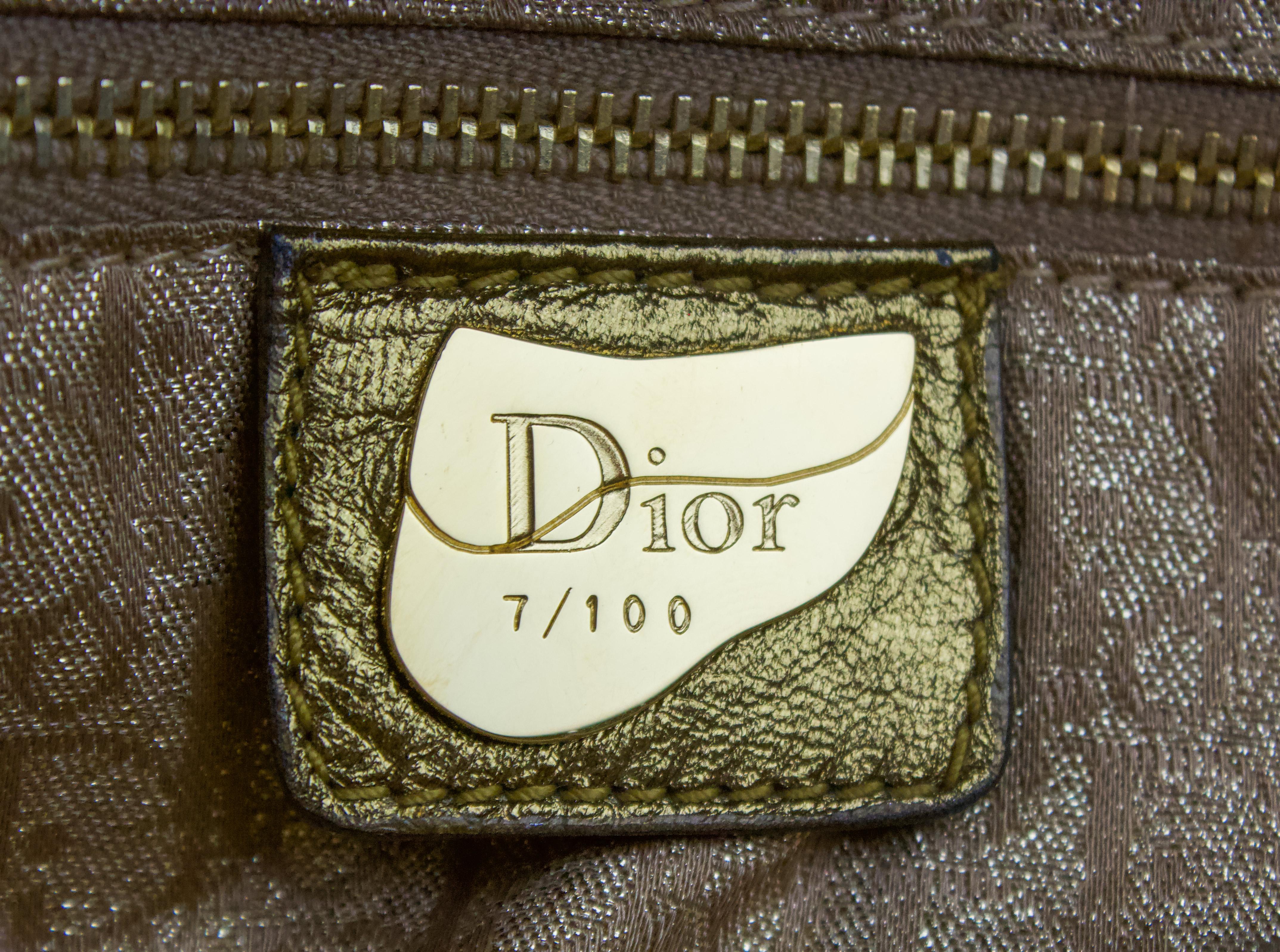 Brown Christian Dior Egypt Country Saddle Bag For Sale