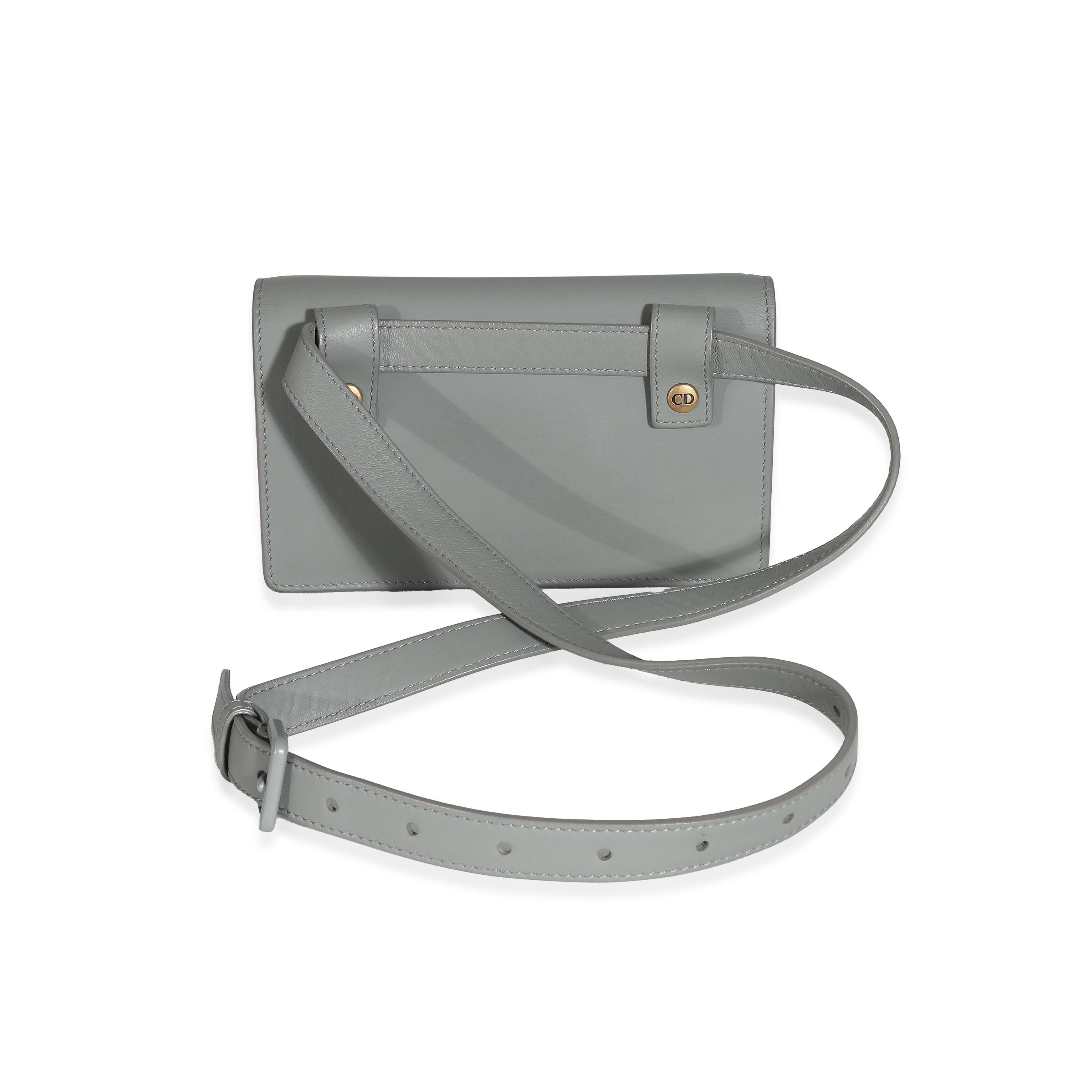 Christian Dior Grey Calfskin Saddle Belt Pouch For Sale 1
