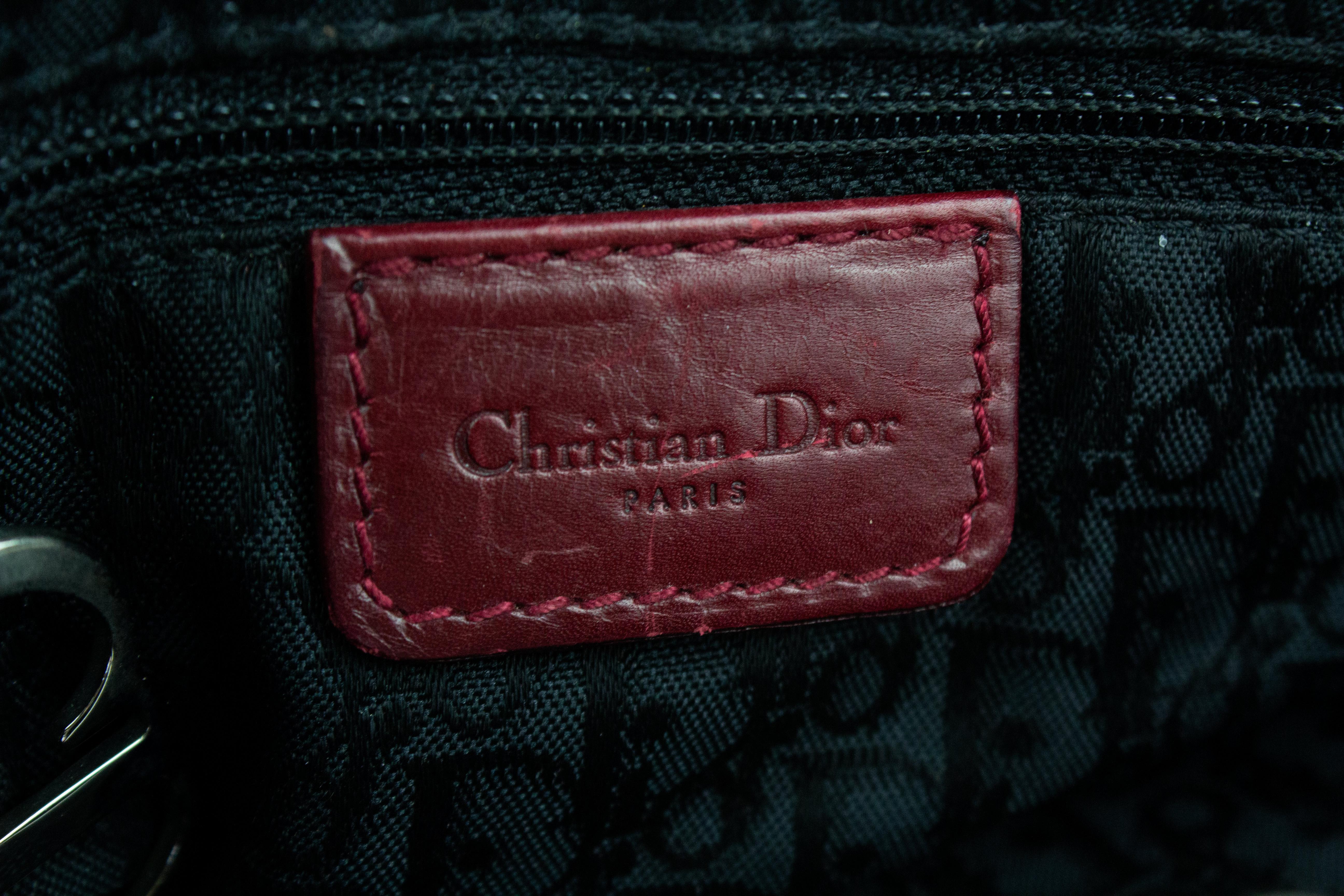 Christian Dior Hardcore Piercings Saddle Bag 10