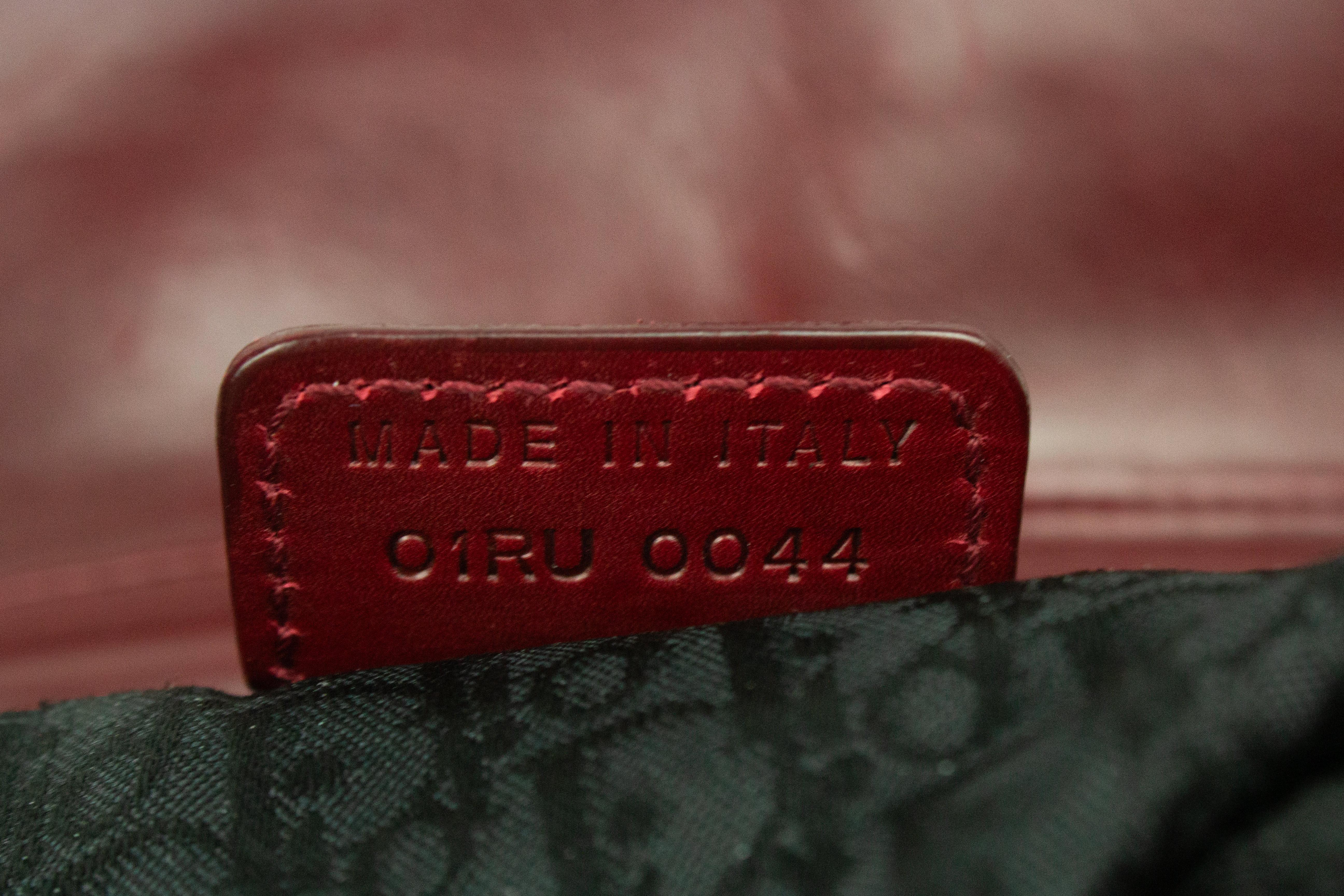 Christian Dior Hardcore Piercings Saddle Bag 11