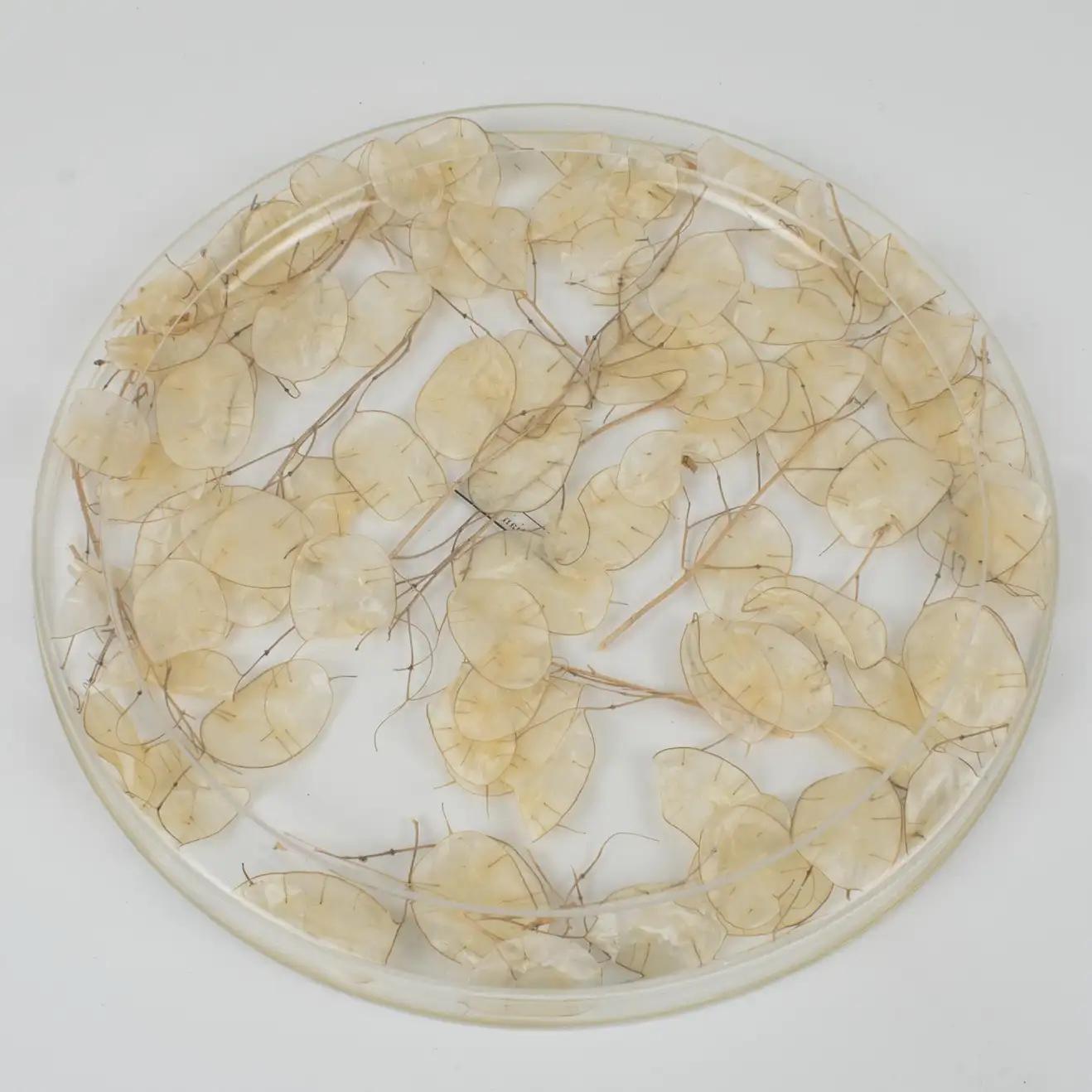 French Christian Dior Home Collection Lucite Tray Board Platter with Dried Lunaria For Sale