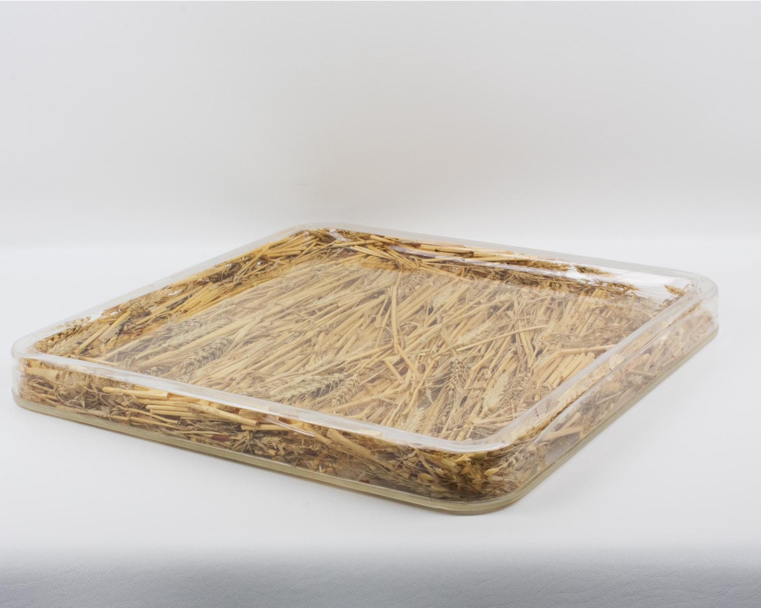 Acrylic Christian Dior Tray Board Platter Lucite and Wheat