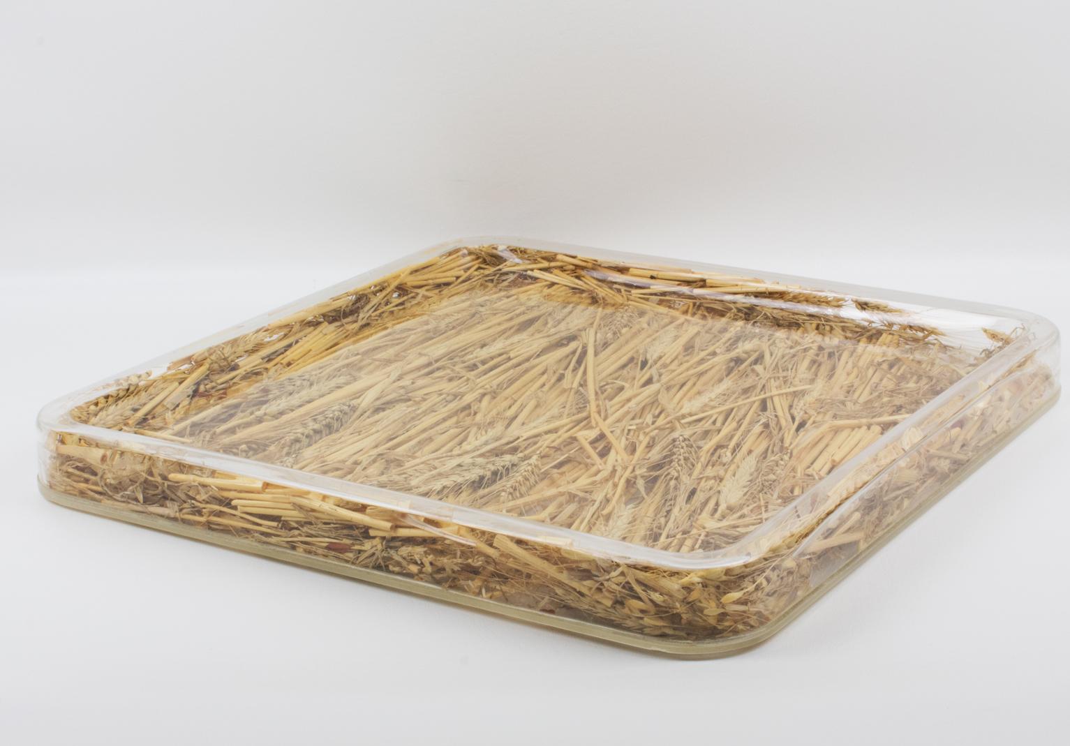 Christian Dior Tray Board Platter Lucite and Wheat 1