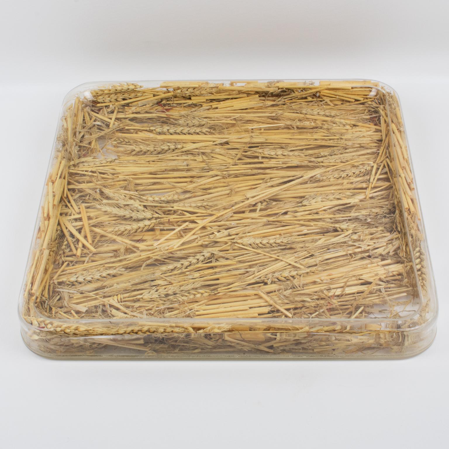 This is a very special and unique serving tray, designed by Christian Dior in the 1970s for his Home Collection. This board or platter has a rectangular shape with raised edges. Made of clear Lucite or plexiglass with real wheat encased inside the