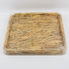 Christian Dior Tray Board Platter Lucite and Wheat