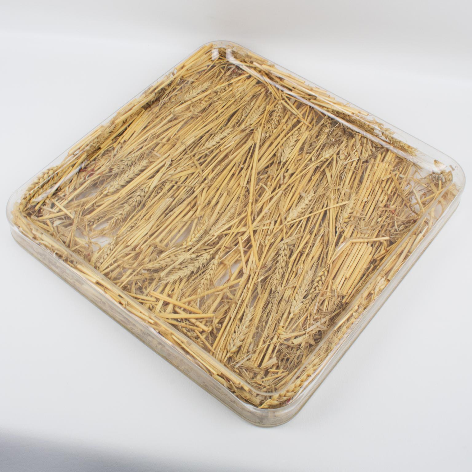 Late 20th Century Christian Dior Tray Board Platter Lucite and Wheat