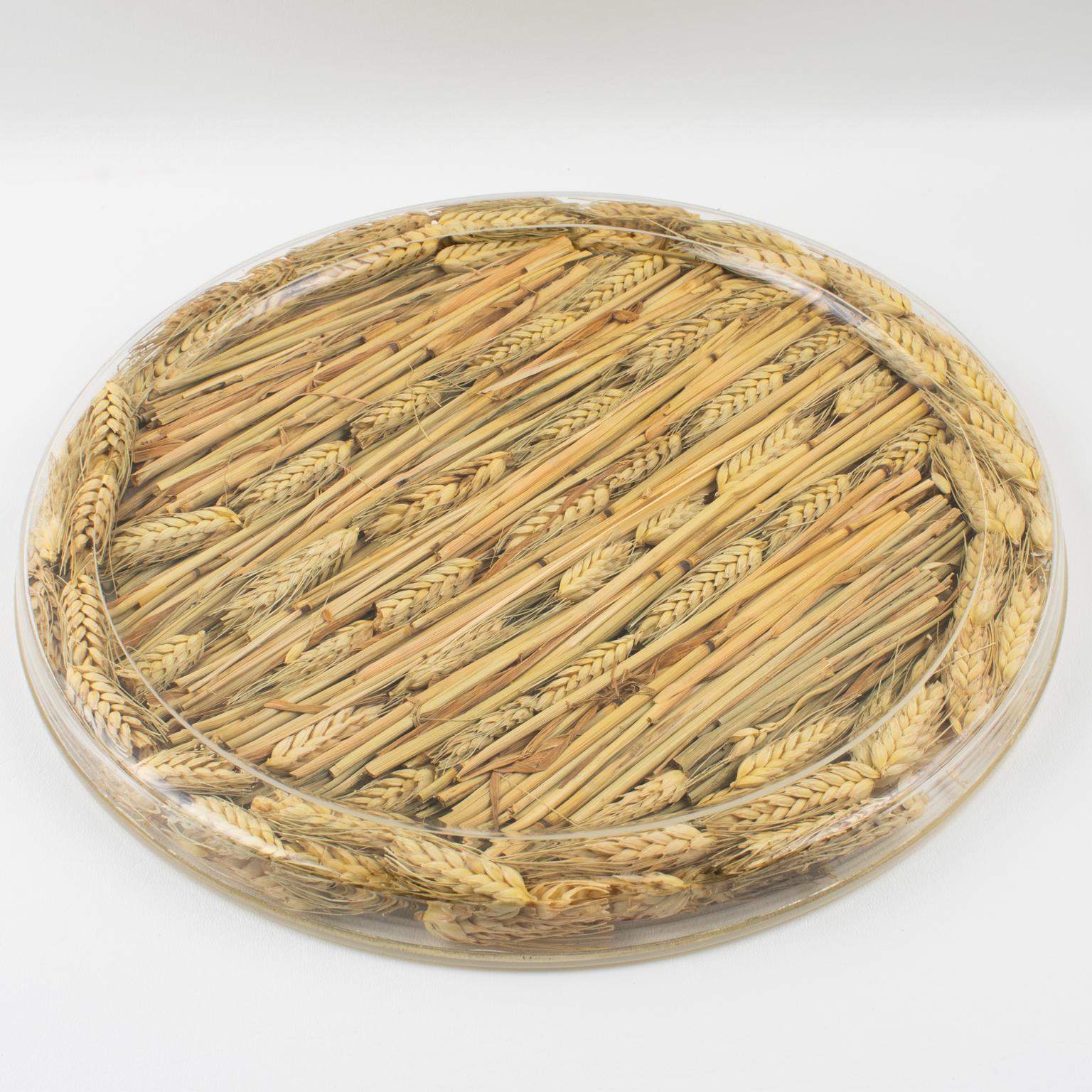 Modern Christian Dior Home Collection Tray Board Platter Lucite and Wheat, 1970s For Sale