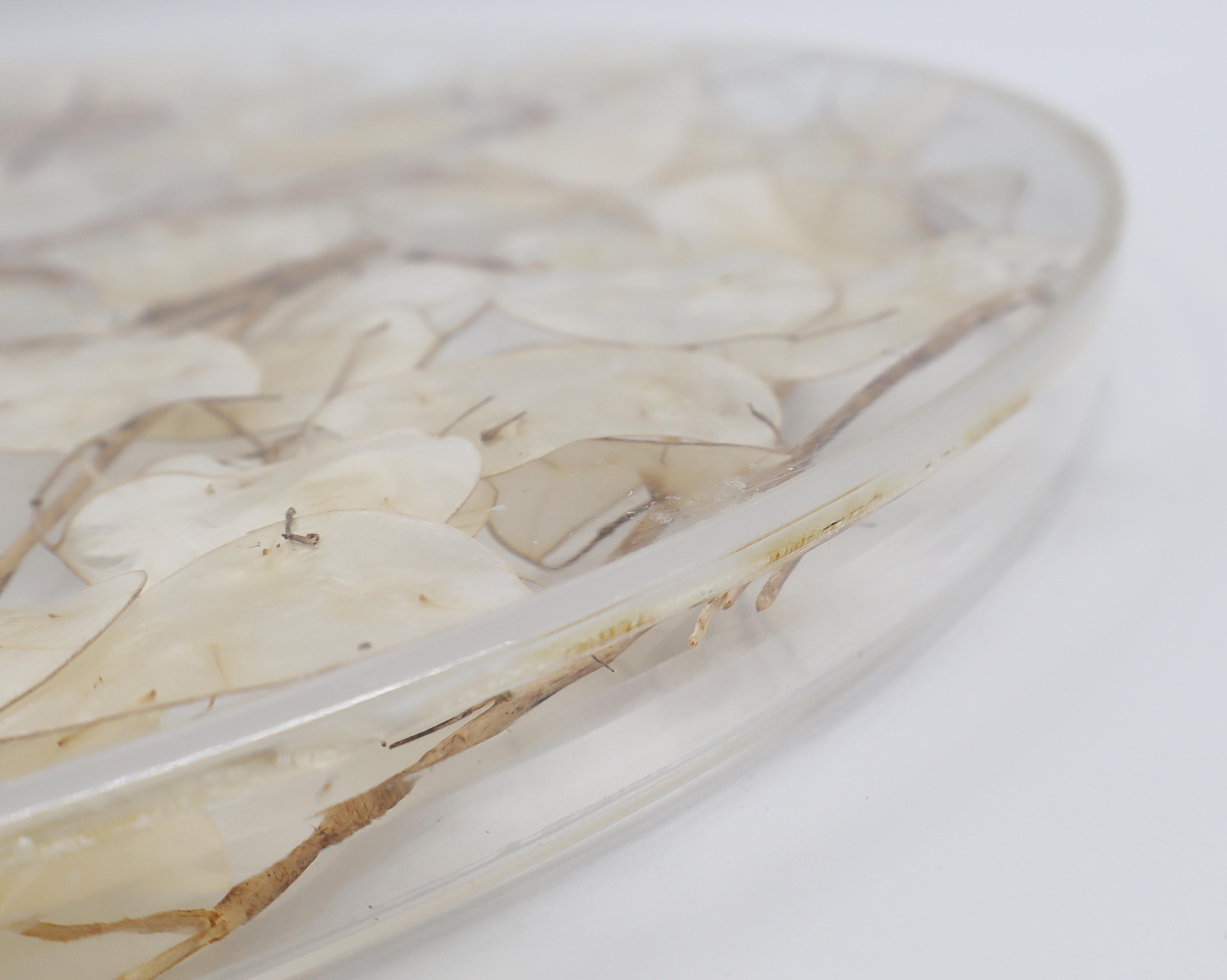 CHRISTIAN DIOR Home Collection Vassoio in lucite vintage con lunaria essiccata in vendita 6