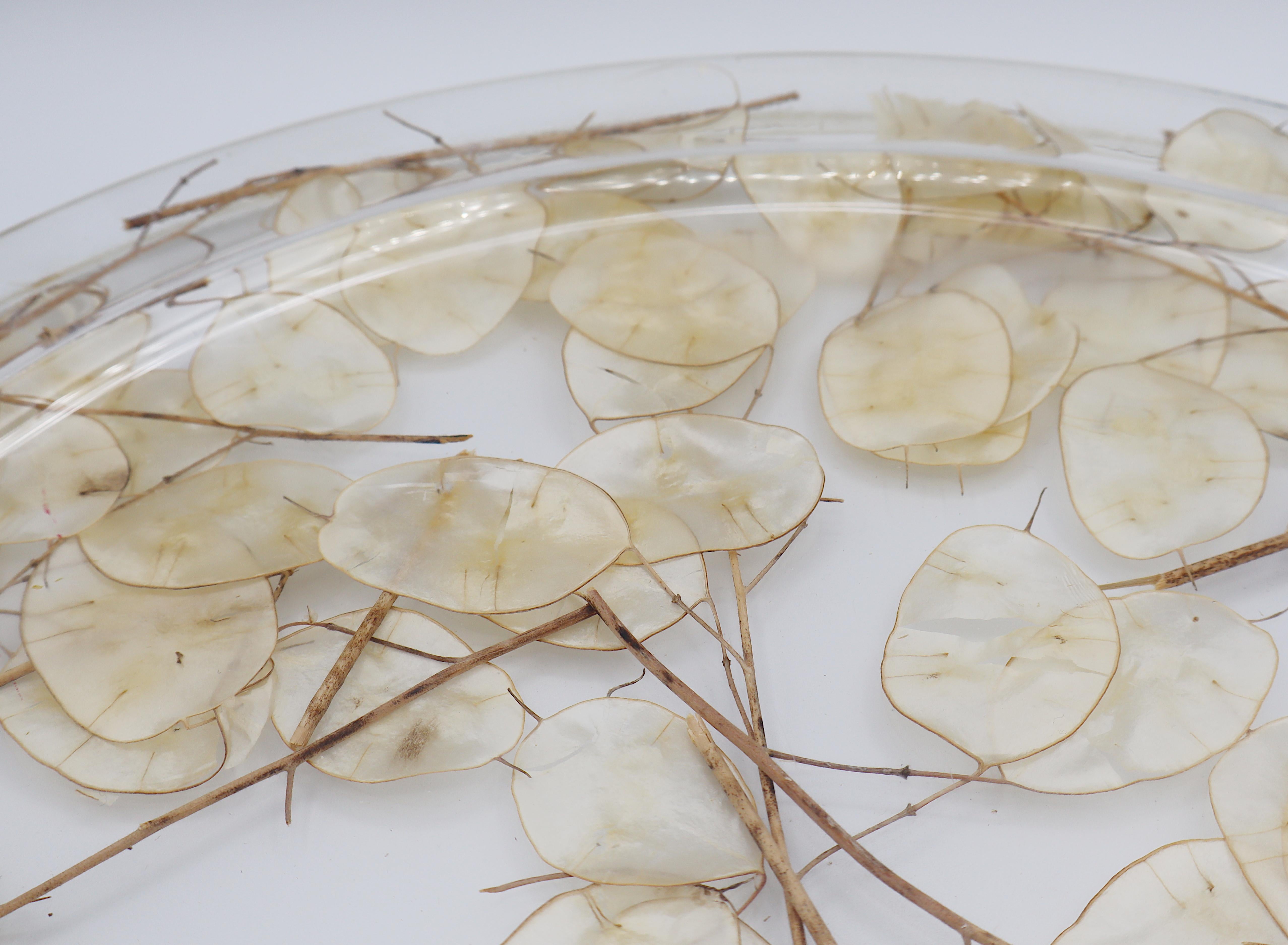 CHRISTIAN DIOR Home Collection Vassoio in lucite vintage con lunaria essiccata in vendita 7