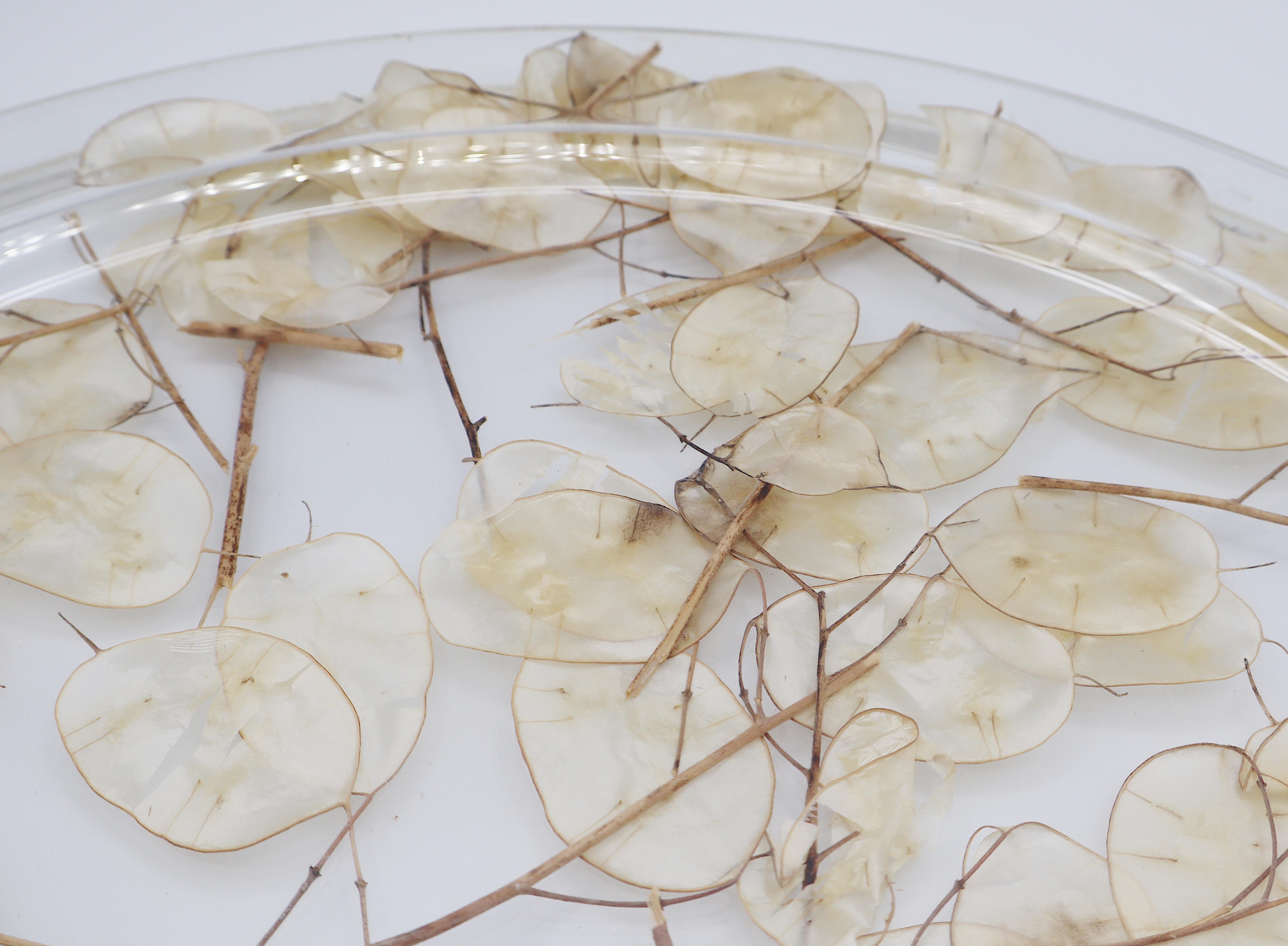 CHRISTIAN DIOR Home Collection Vassoio in lucite vintage con lunaria essiccata in vendita 8