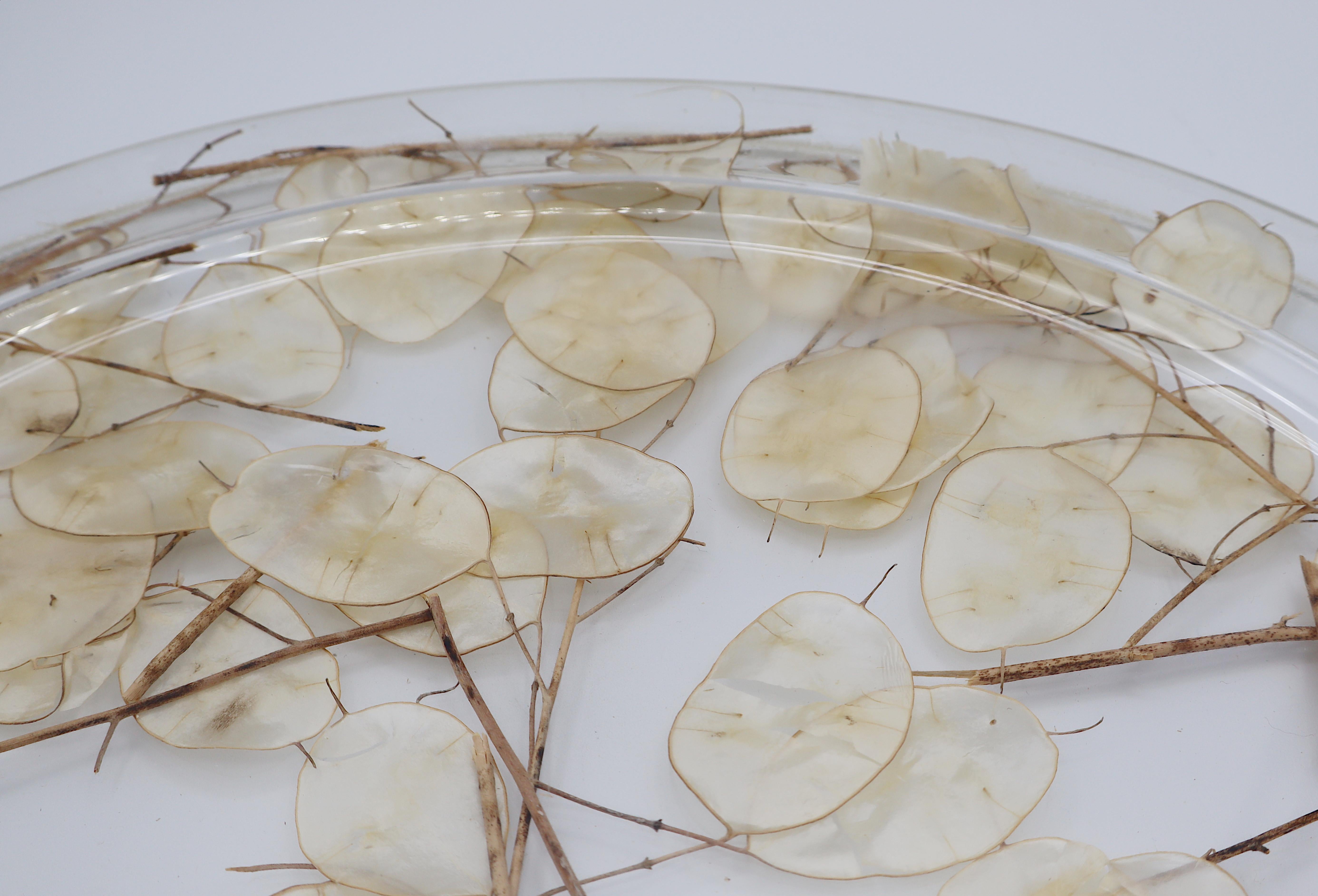 CHRISTIAN DIOR Home Collection Vassoio in lucite vintage con lunaria essiccata in vendita 11