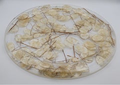 CHRISTIAN DIOR Home Collection Vintage Lucite Tray with Dried Lunaria