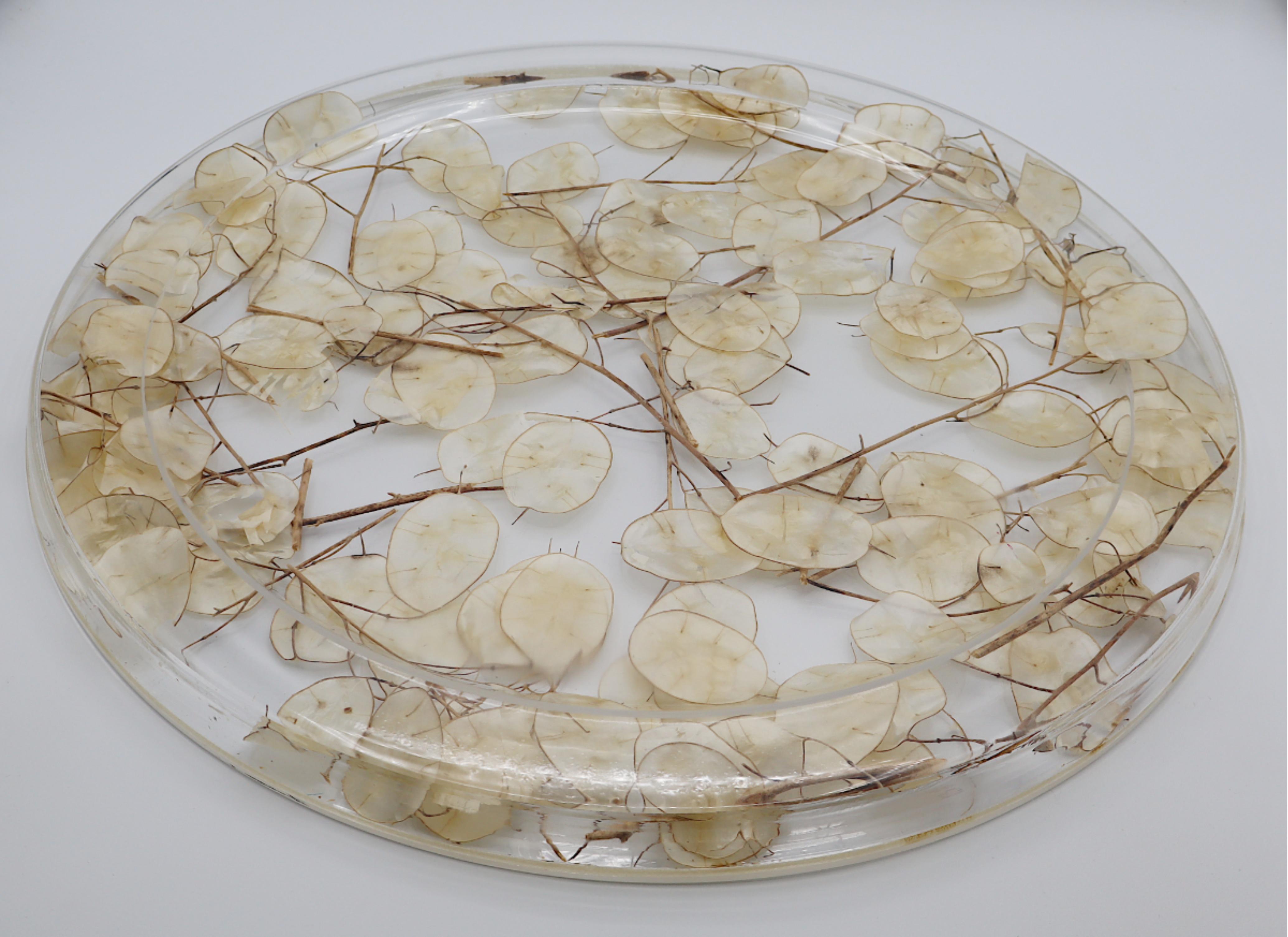 Marrone CHRISTIAN DIOR Home Collection Vassoio in lucite vintage con lunaria essiccata in vendita