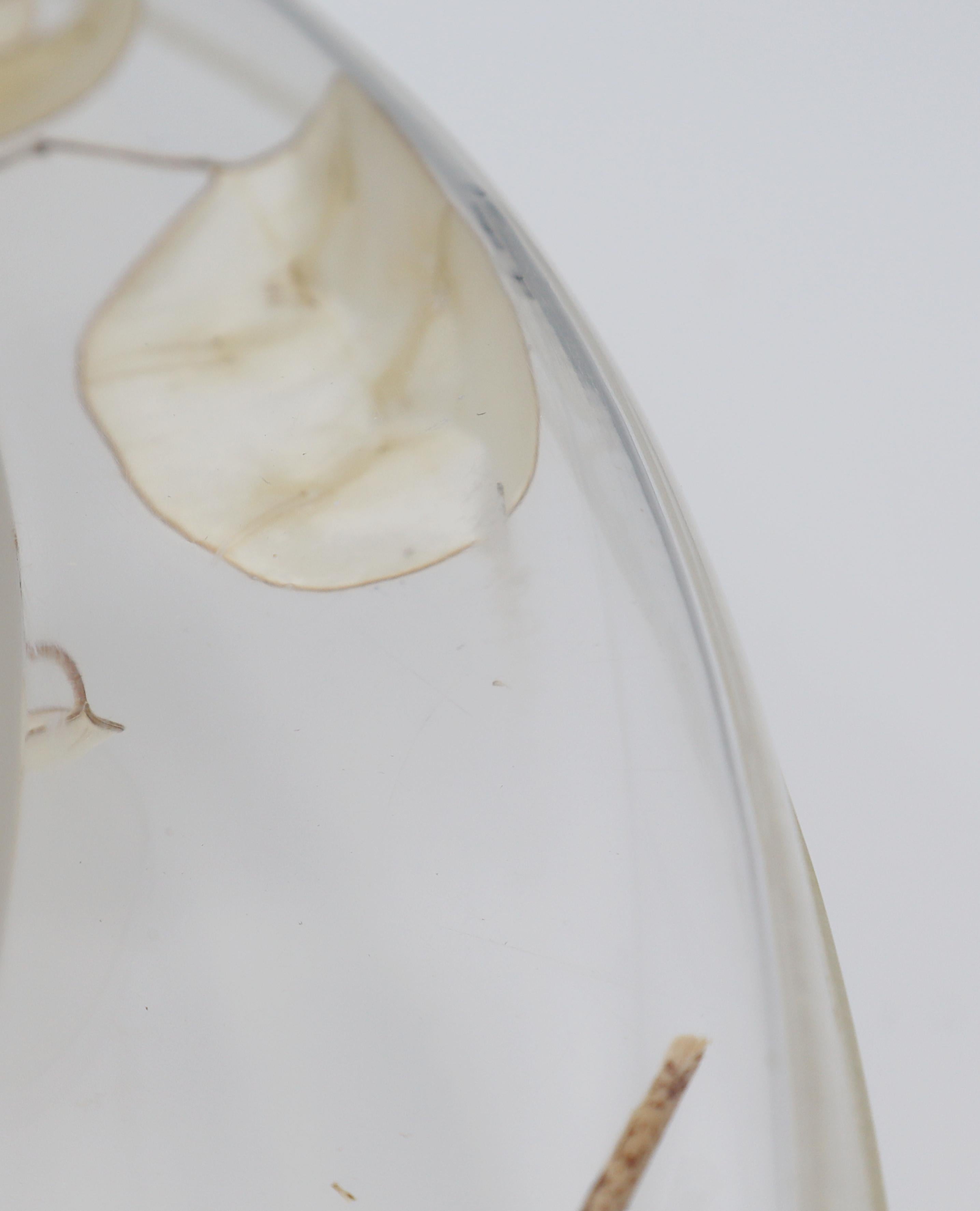 CHRISTIAN DIOR Home Collection Vassoio in lucite vintage con lunaria essiccata in vendita 3