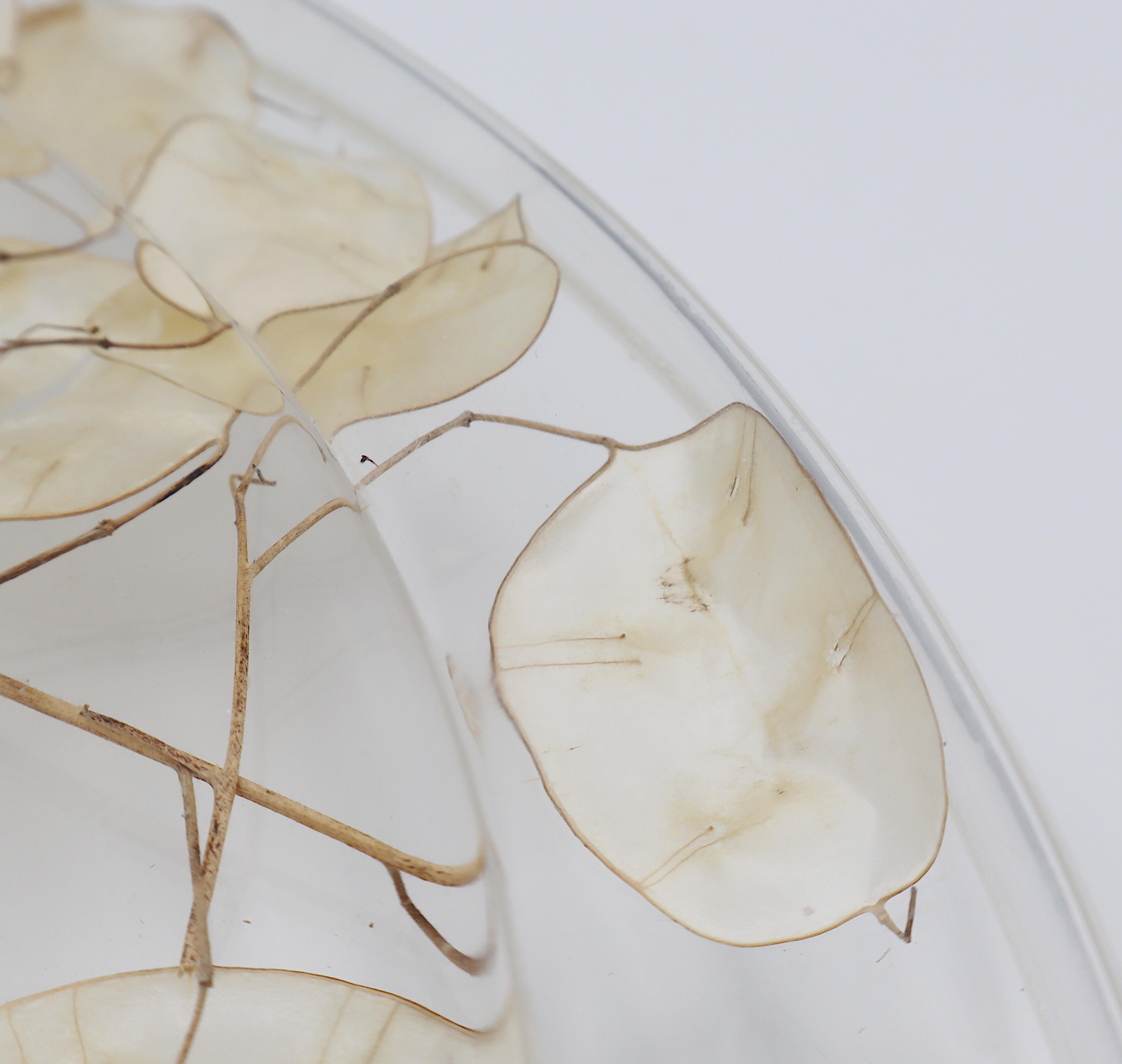 CHRISTIAN DIOR Home Collection Vassoio in lucite vintage con lunaria essiccata in vendita 4
