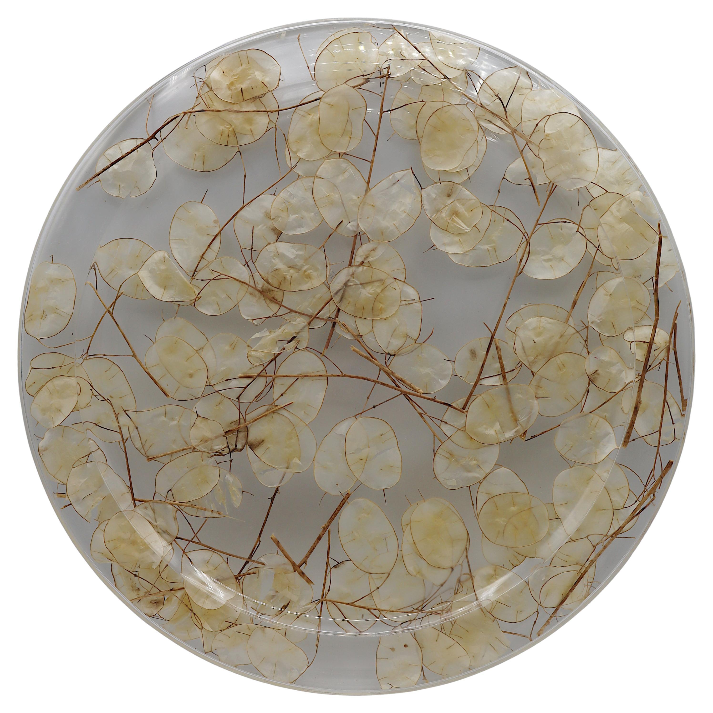 CHRISTIAN DIOR Home Collection Vintage Lucite Tray with Dried Lunaria