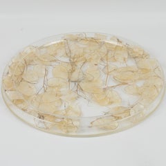 Dior Home Paris Vassoio, tavola, piatto in lucite con Lunaria essiccata