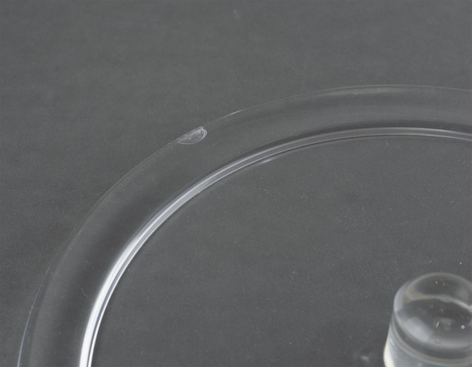 Christian Dior Interior Barware Lucite Eiskübel mit getrockneten Lunarien, um 1970 im Angebot 14