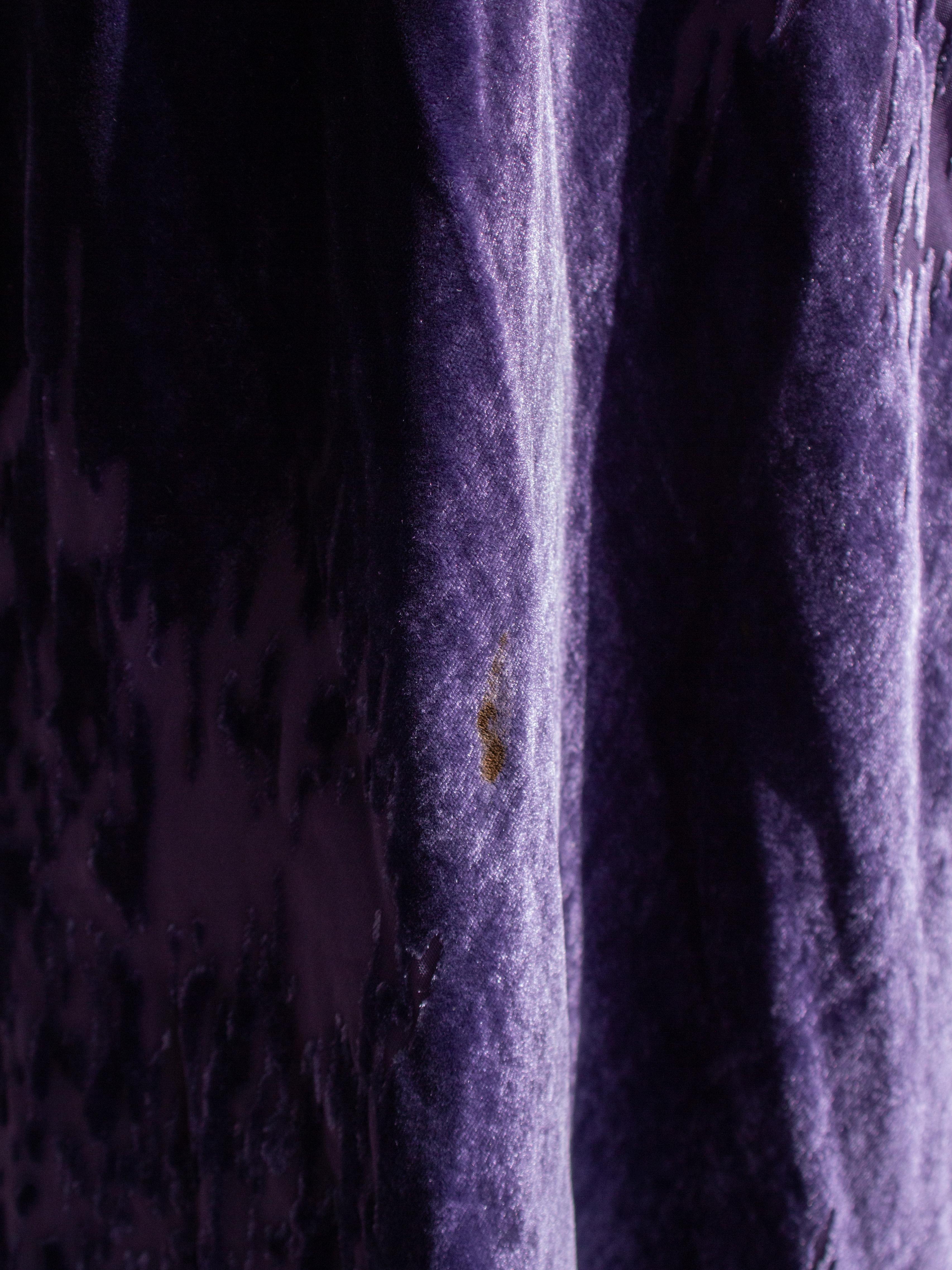 Christian Dior John Galliano F/W 2005 Purple Devore Velvet Evening Dress Gown 5