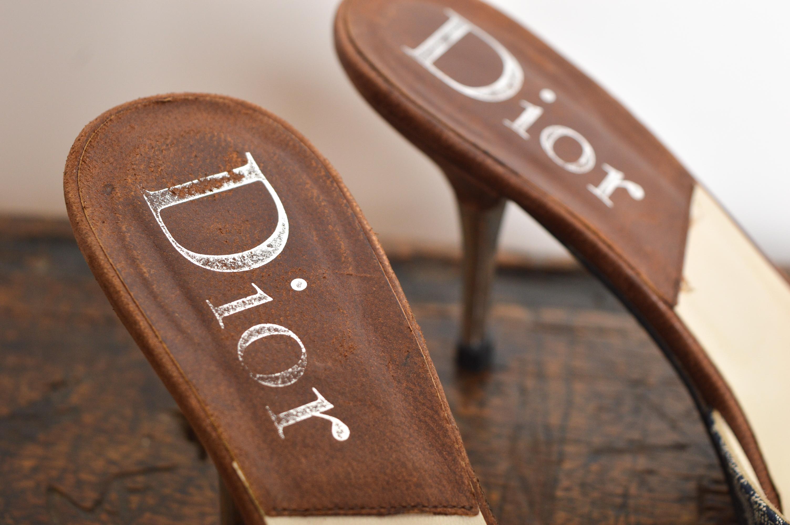 Women's Christian Dior John Galliano Y2k CD Buckle Pointed Blue Brown Mules Kitten Heels For Sale