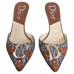 Christian Dior John Galliano Y2k CD Buckle Pointed Blue Brown Mules Kitten Heels