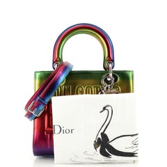 Christian Dior John Giorno Lady Dior Bag Limited Edition Rainbow Metallic