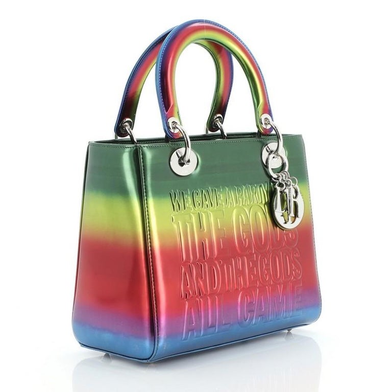 Christian dior rainbow bag
