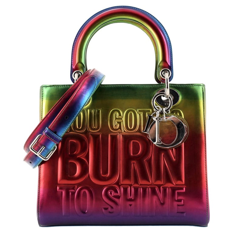 Christian dior rainbow bag