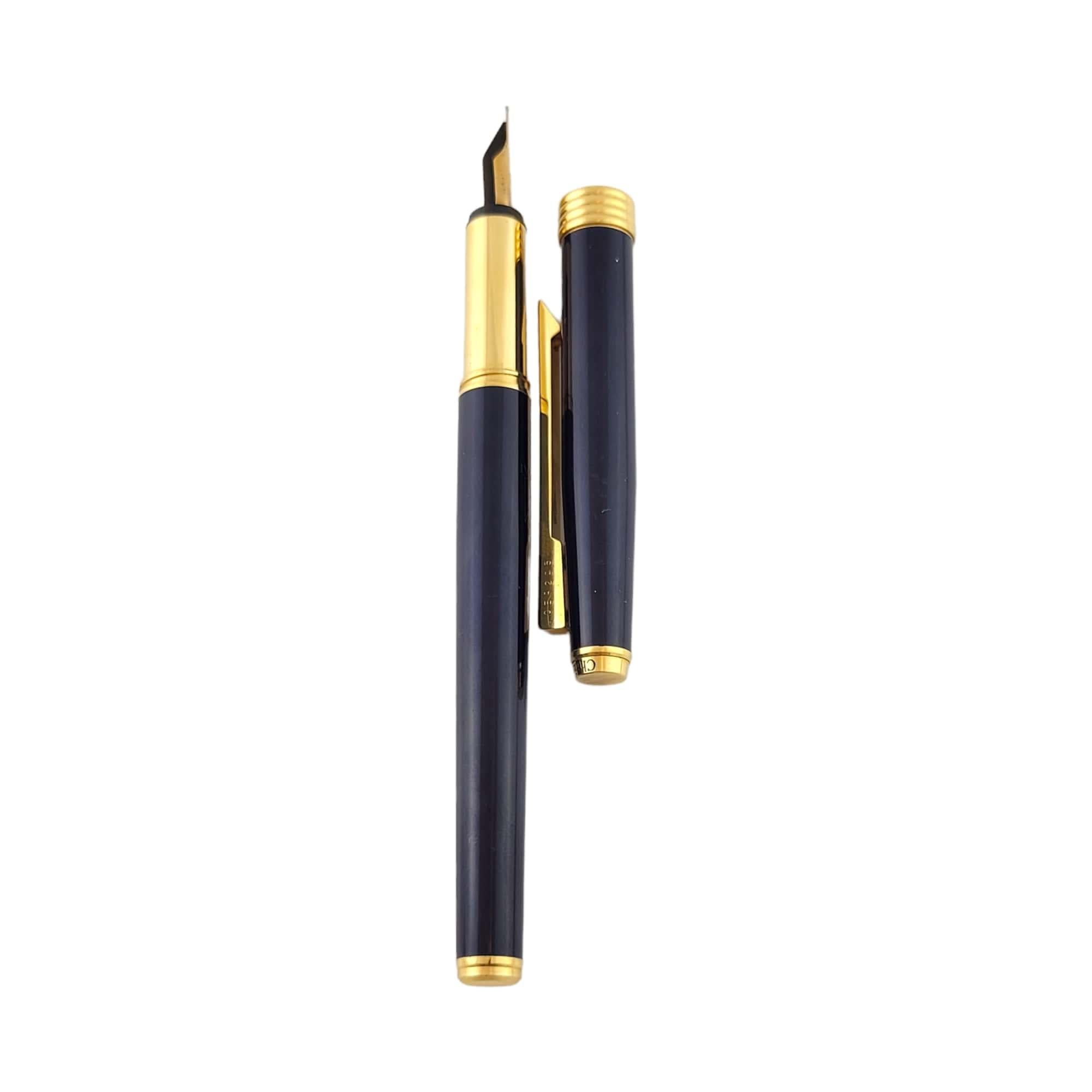 christian dior fountain pen