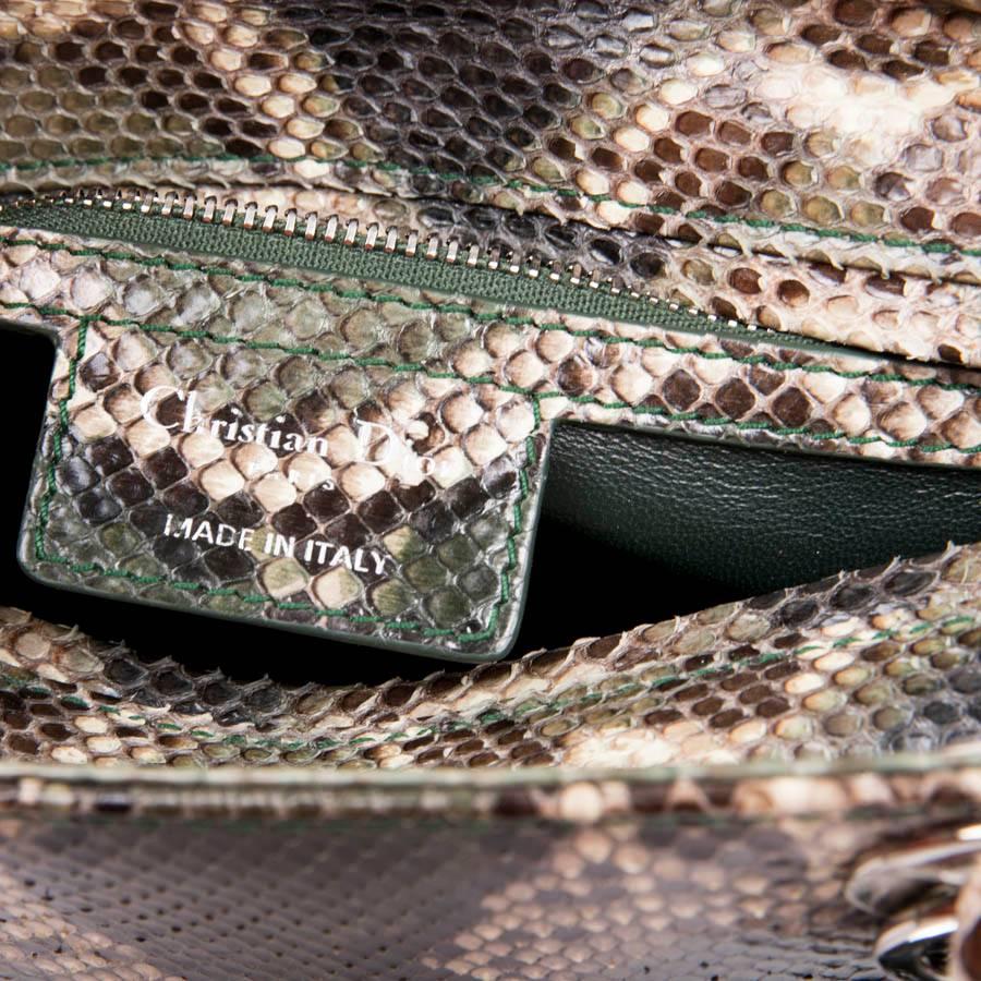 Christian Dior Lady D Bag in Graduated Green Brown and Beige Python 3