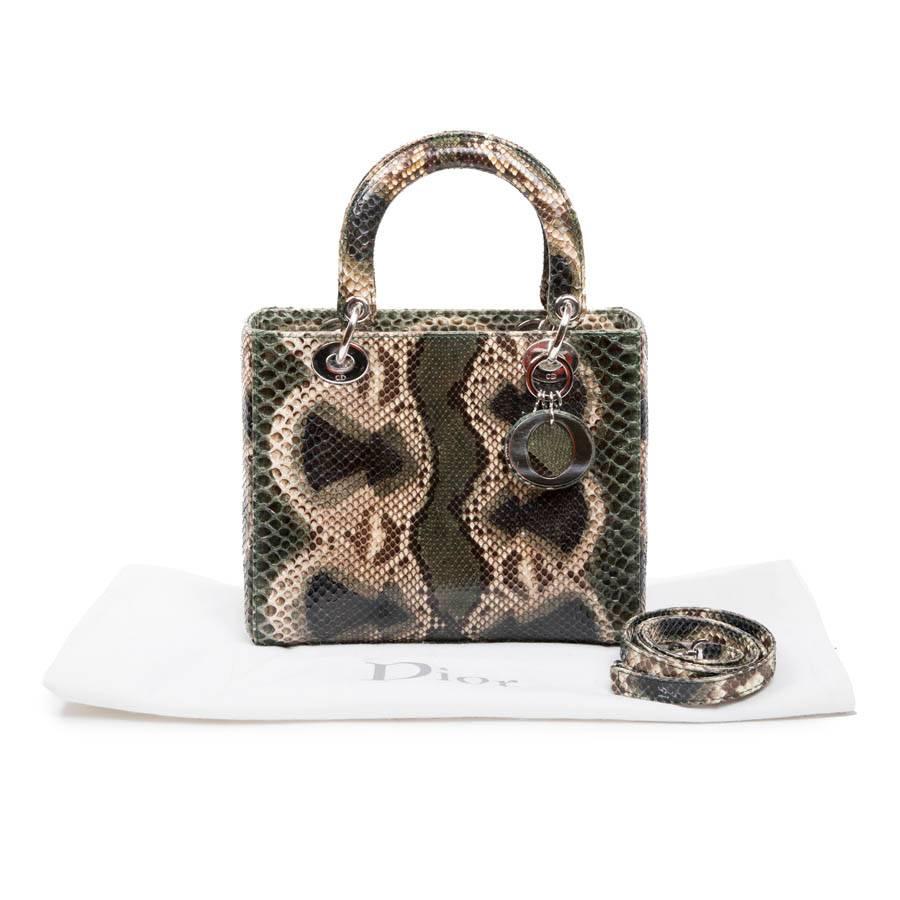 Christian Dior Lady D Bag in Graduated Green Brown and Beige Python 7