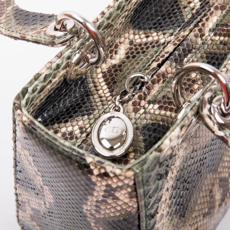 Christian Dior Lady D Bag in Graduated Green Brown and Beige Python 8