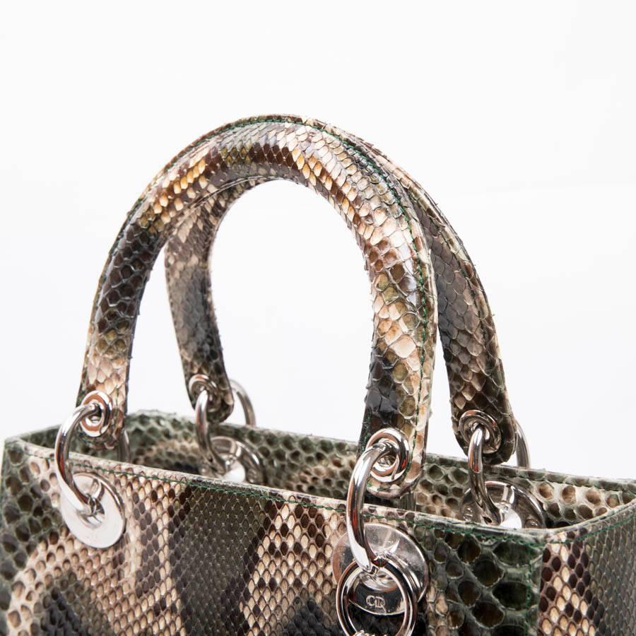 Black Christian Dior Lady D Bag in Graduated Green Brown and Beige Python