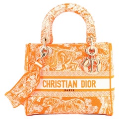 Christian Dior Lady D-Lite Bag Embroidered Canvas Medium