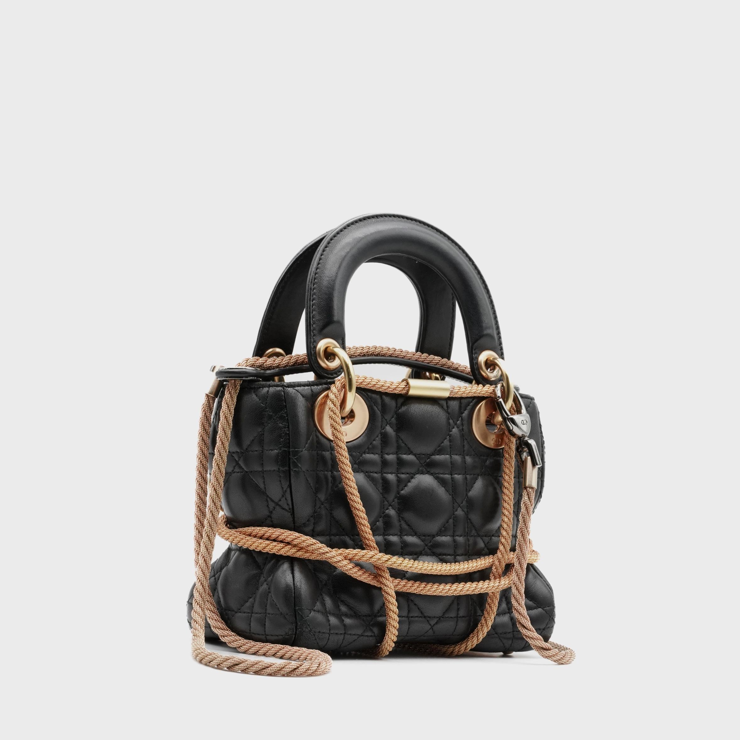Creata per il progetto Lady Dior Artistics di Dior nel 2019, questa borsa è una collaborazione tra la Maison e l'artista francese Morgane Tschiember, sotto la direzione creativa di Maria Grazia CHIURI. L'artista reinterpreta la classica Lady Dior
