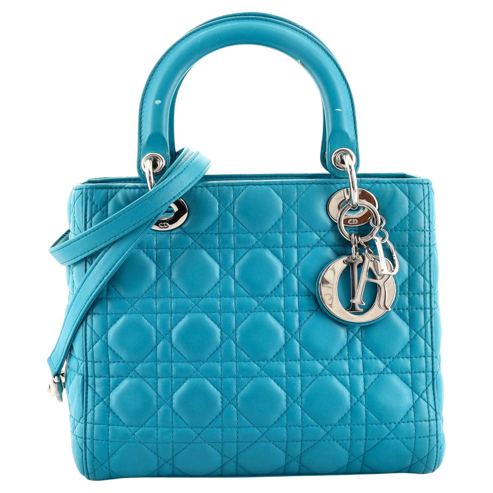 Christian Dior Diorama Club Flap Bag Leather Small at 1stDibs